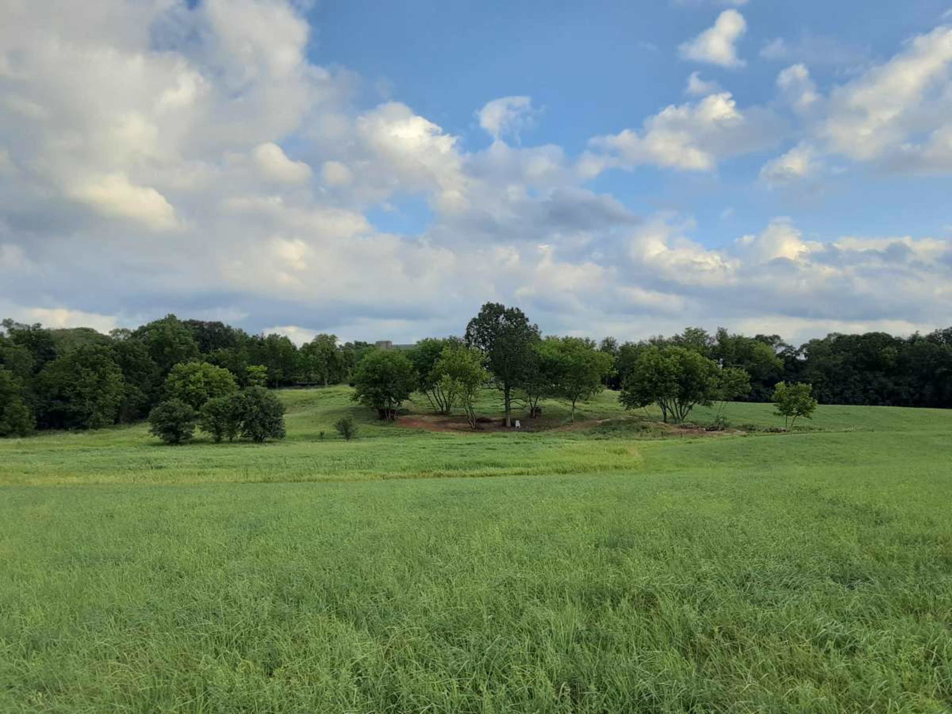 Rural Retreat with Idyllic Views Image in Genesee, North Prairie, WI