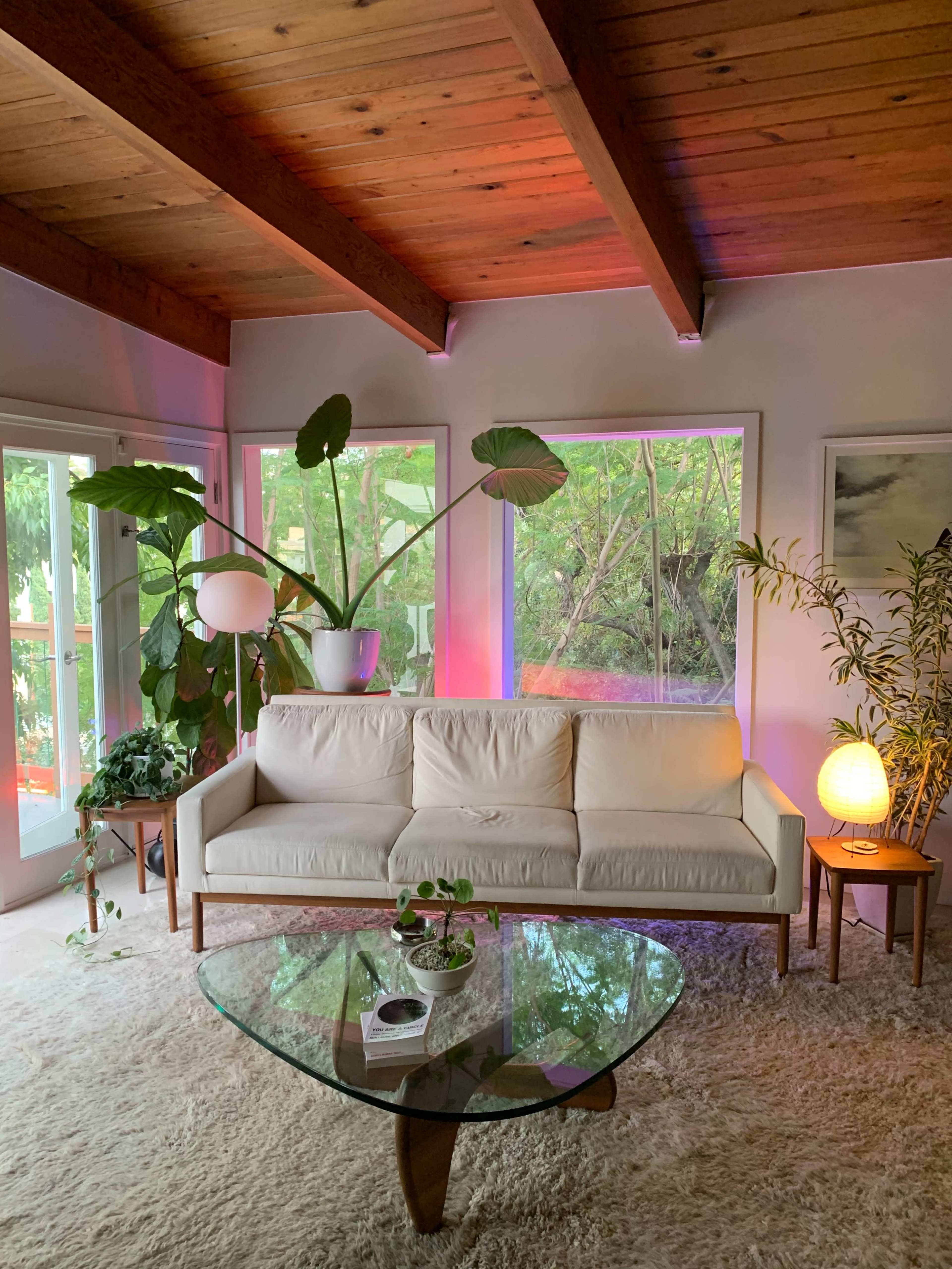 A bright living room featuring a white sofa, a glass coffee table, and large plants near windows with wooden beams overhead.