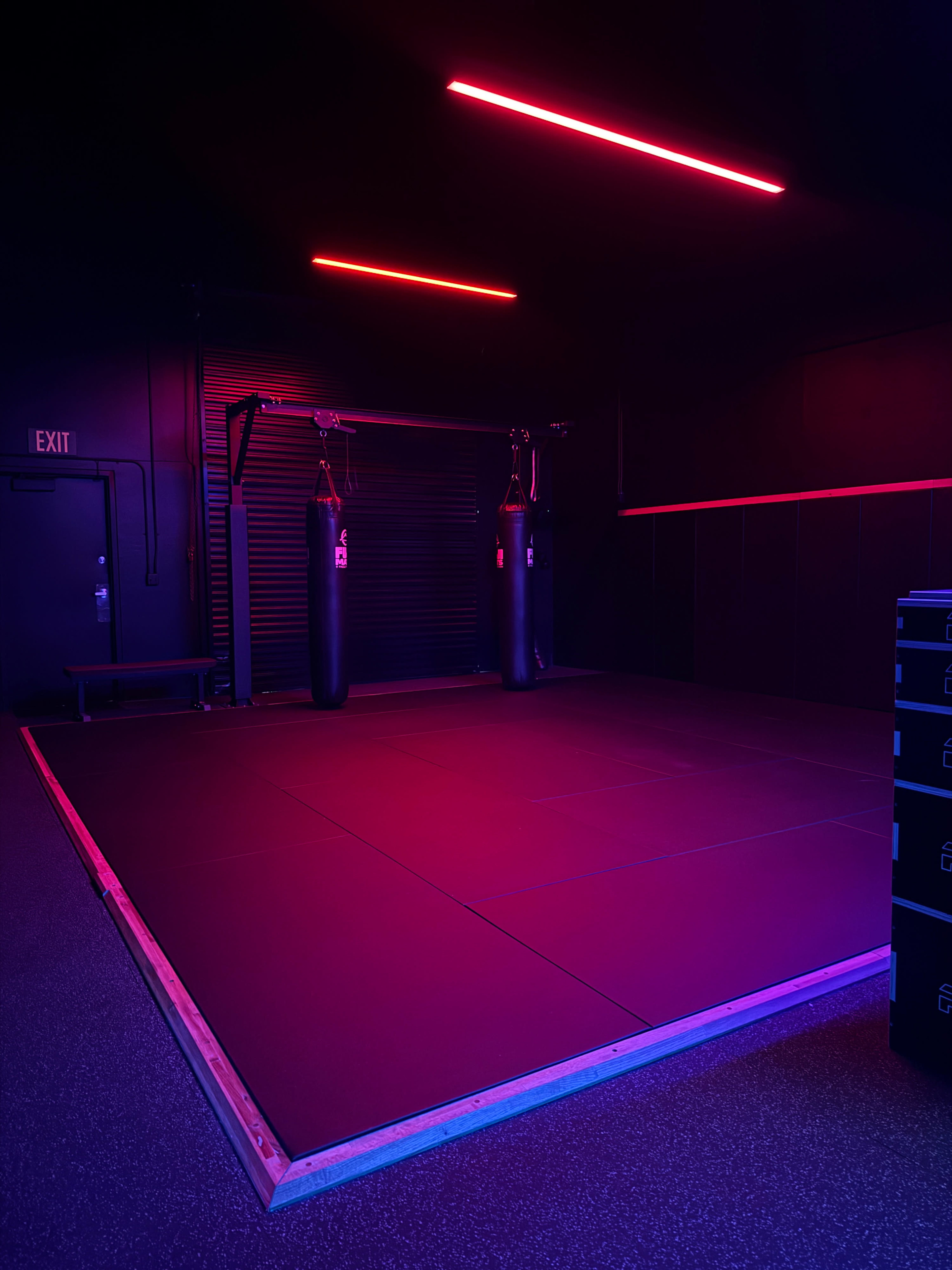 The image shows a dimly lit training area with two punching bags hanging and neon lights illuminating the space.