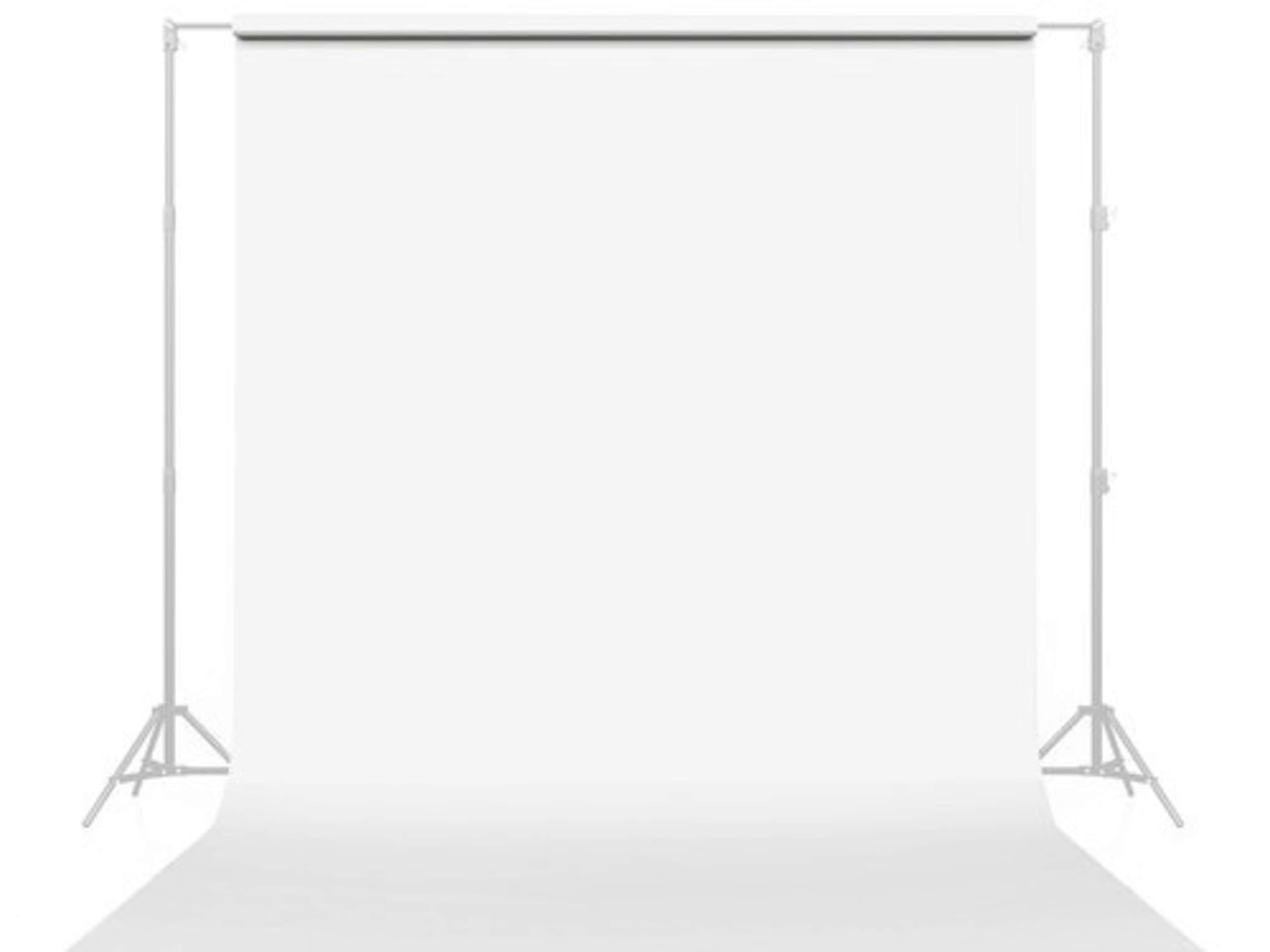Fresh Paper Backdrop Setup Rental