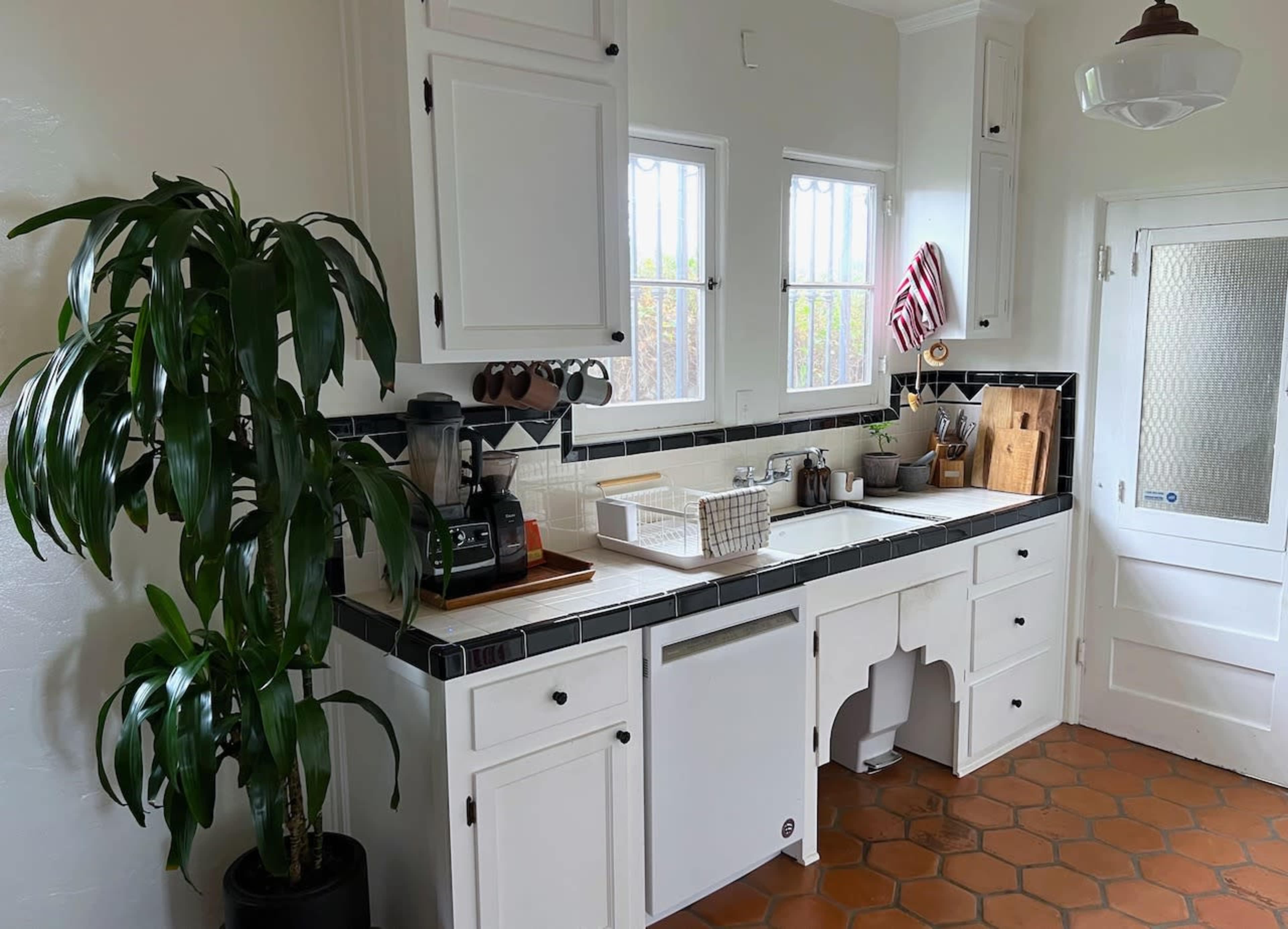 A kitchen features a white sink with a black tiled countertop, surrounded by cabinets, an array of kitchen tools, and a large potted plant.