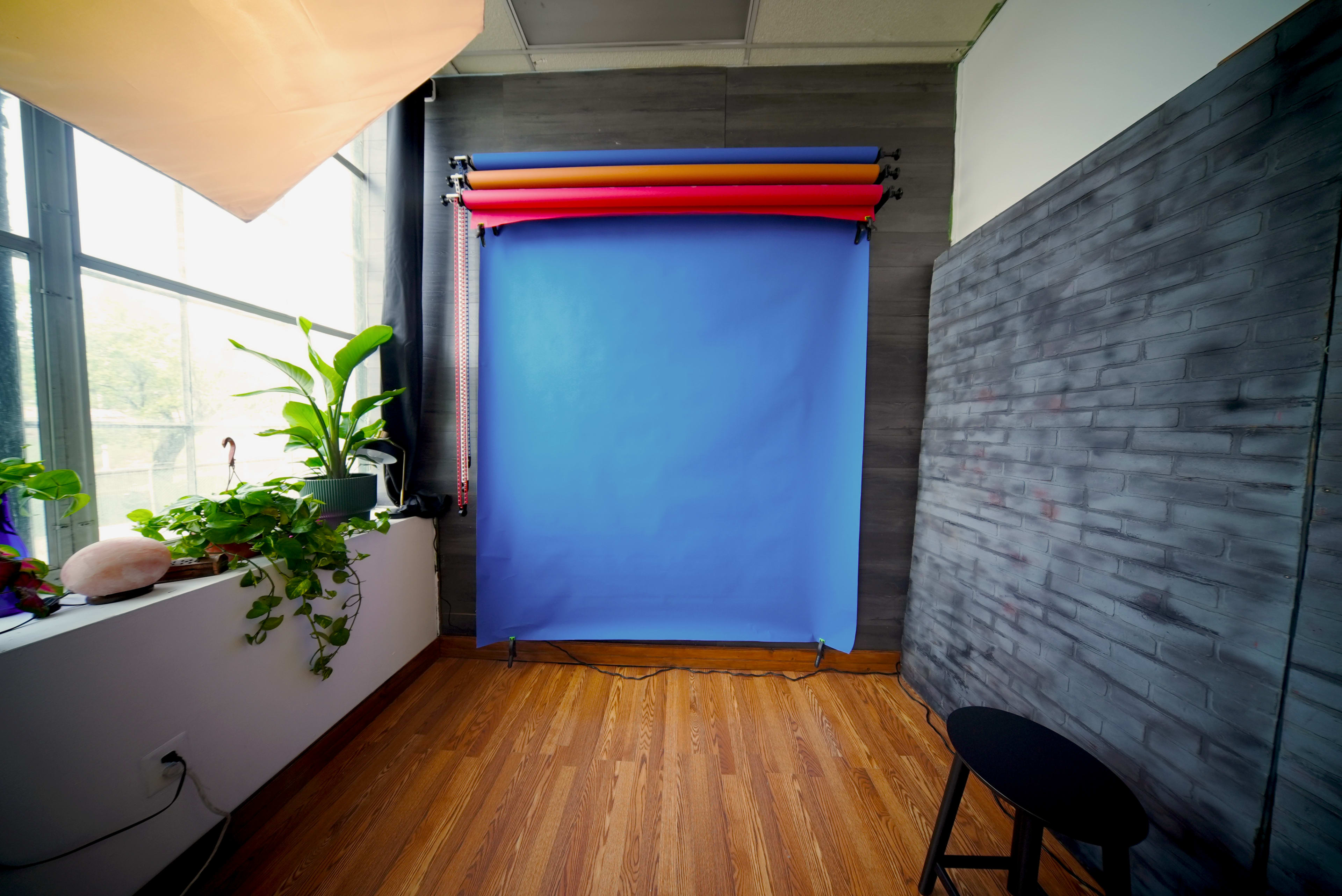 The image shows a photography studio with a blue backdrop, several rolls of colored paper above, a black stool, and a plant near a window.