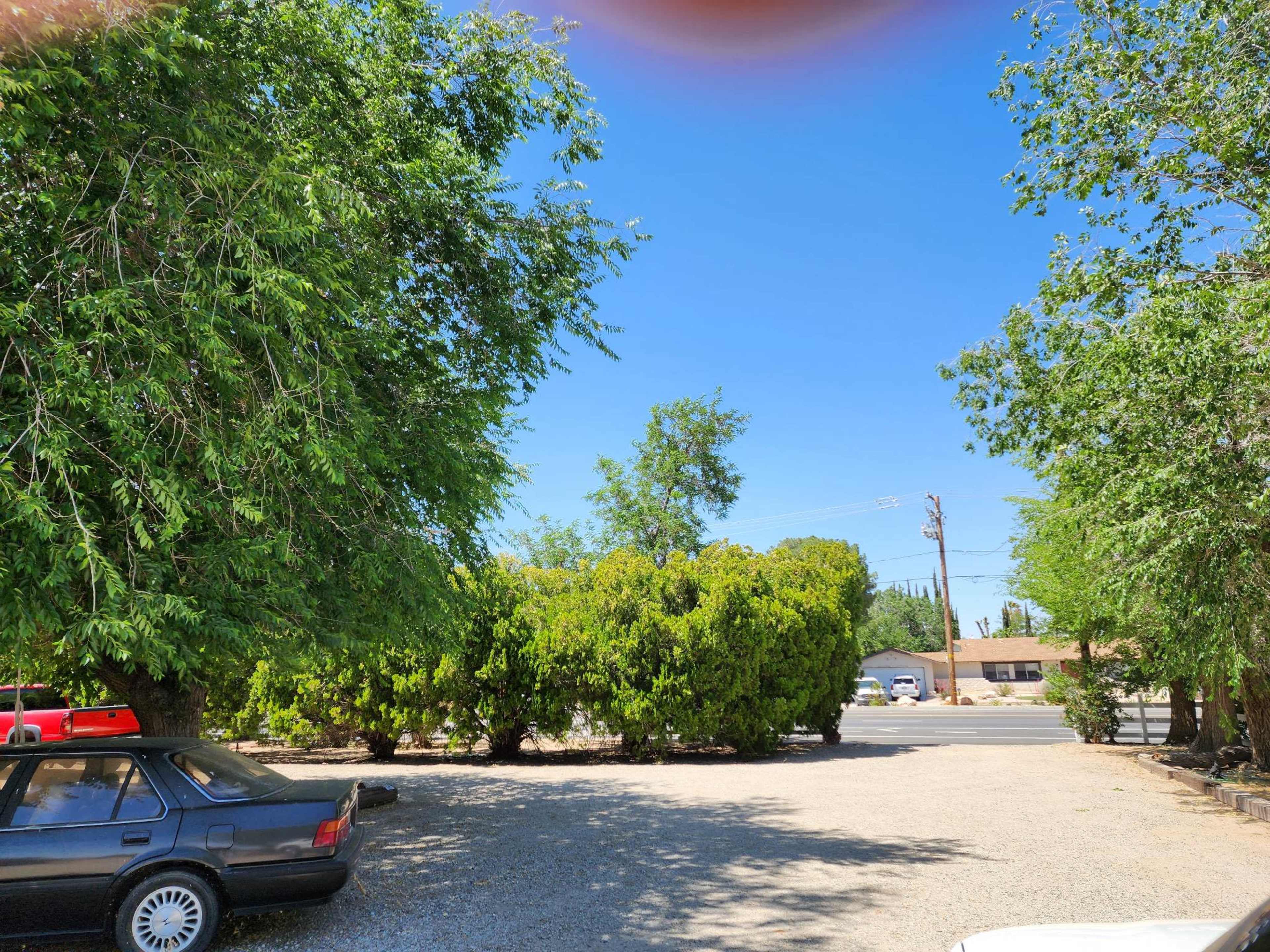 The image shows a gravel parking area surrounded by trees and shrubbery, with a clear blue sky overhead.