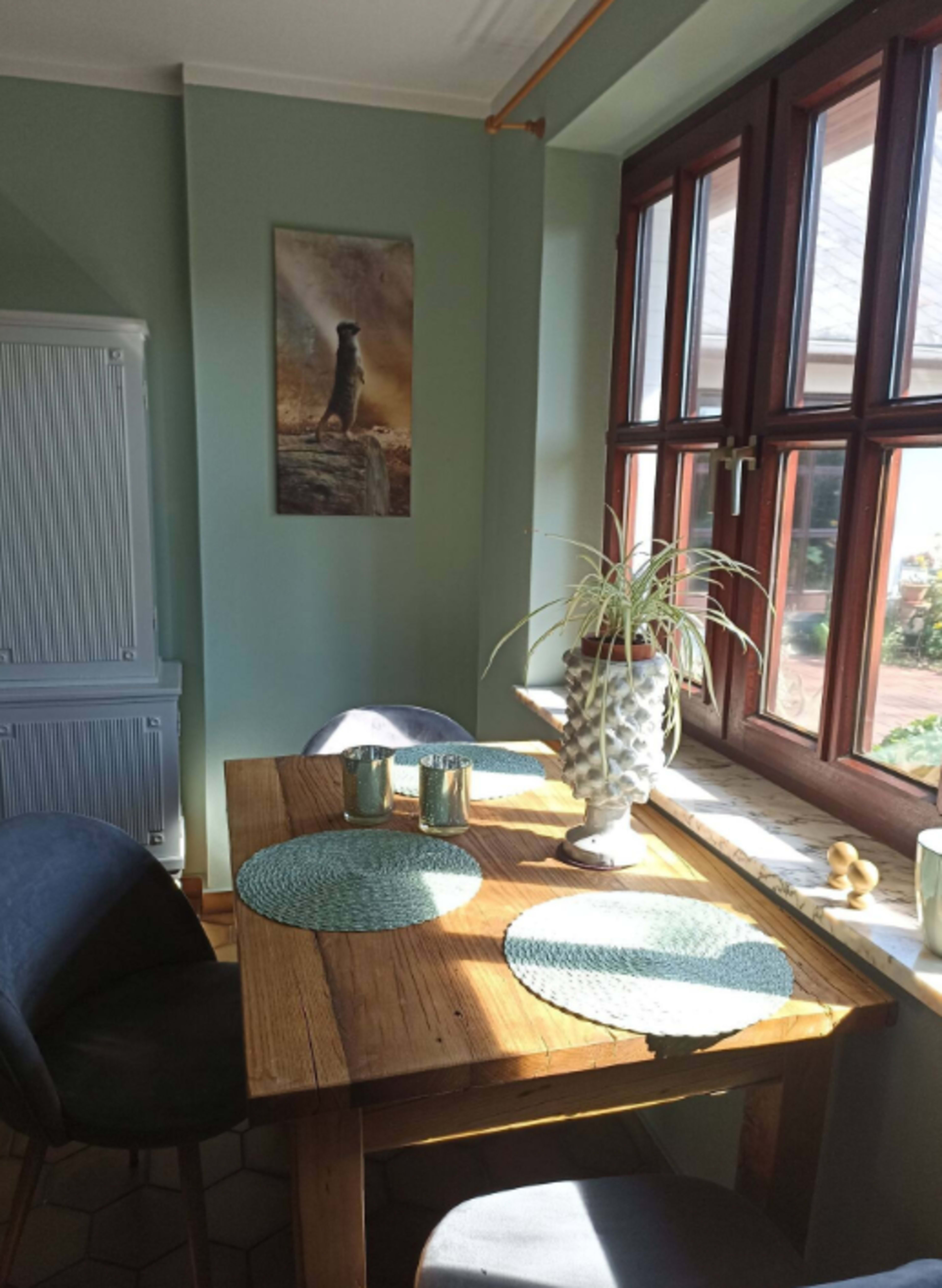 A wooden dining table with placemats is positioned near a window, with a dog-themed poster on the wall and a potted plant on the table.
