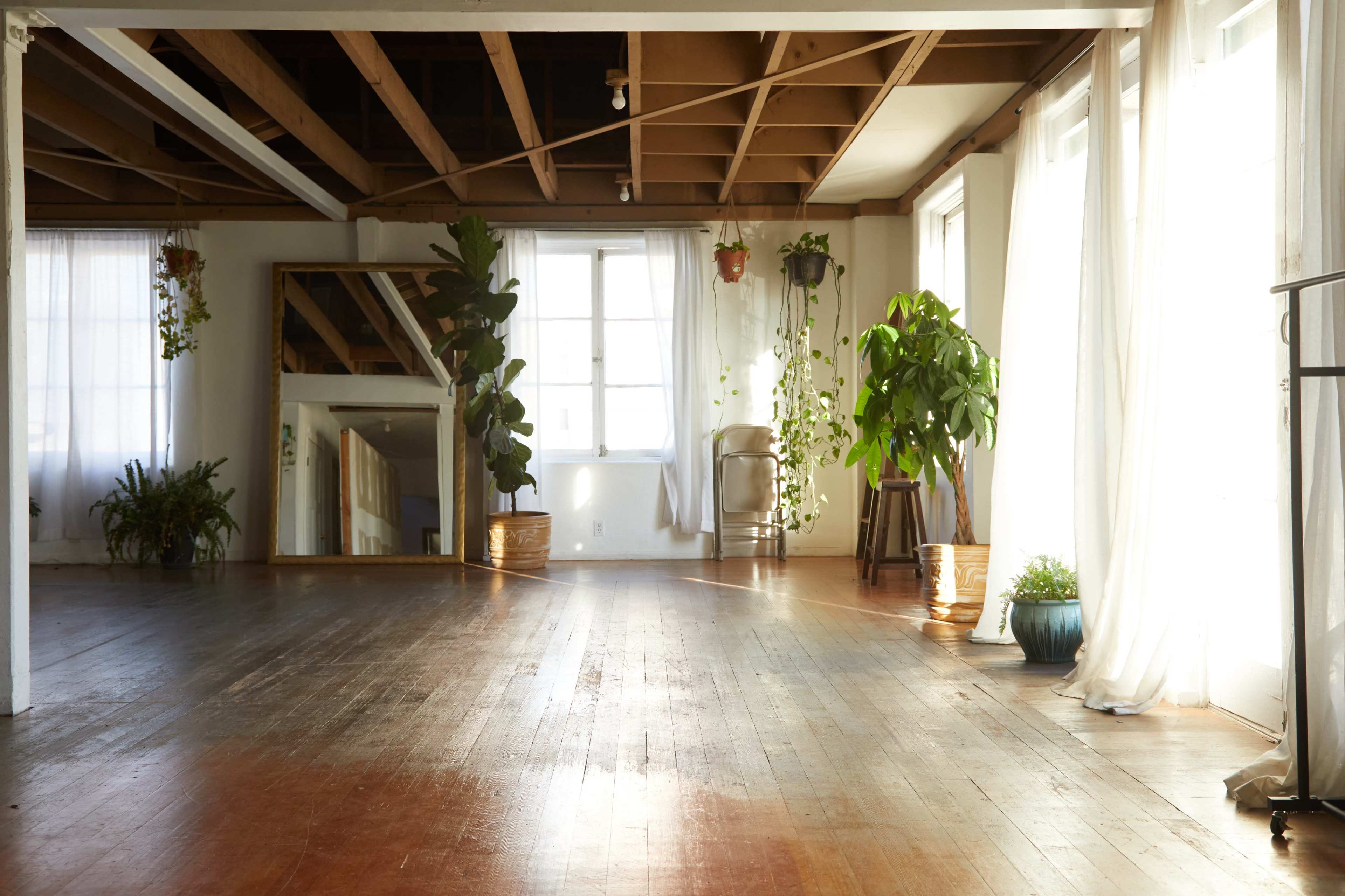 The image depicts a spacious room with wooden flooring, large windows, plants, and a mirror reflecting the interior.