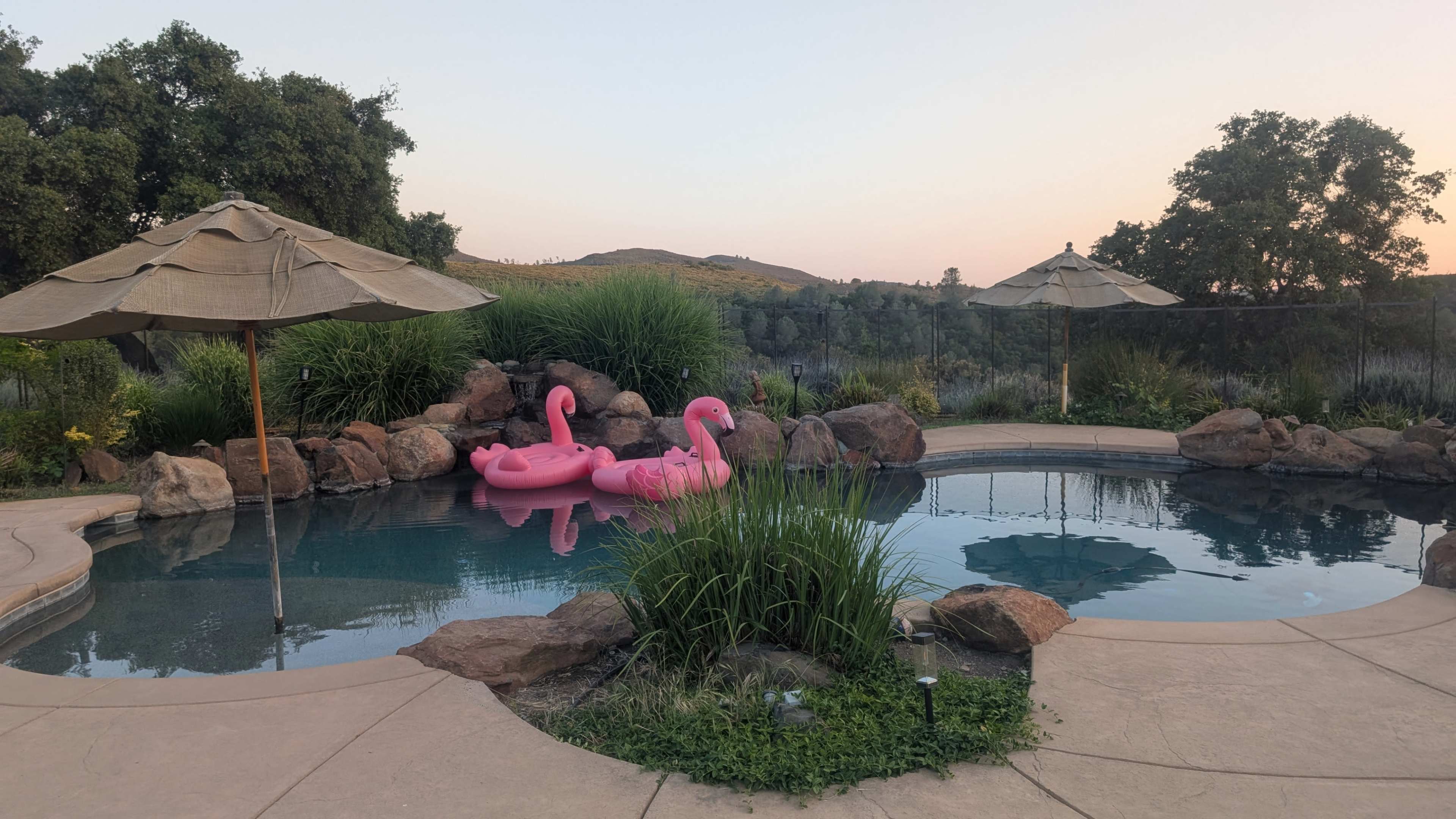 Upscale Pool with Waterfall in Secluded Hilltop Estate with Views Image in , Pilot Hill, CA