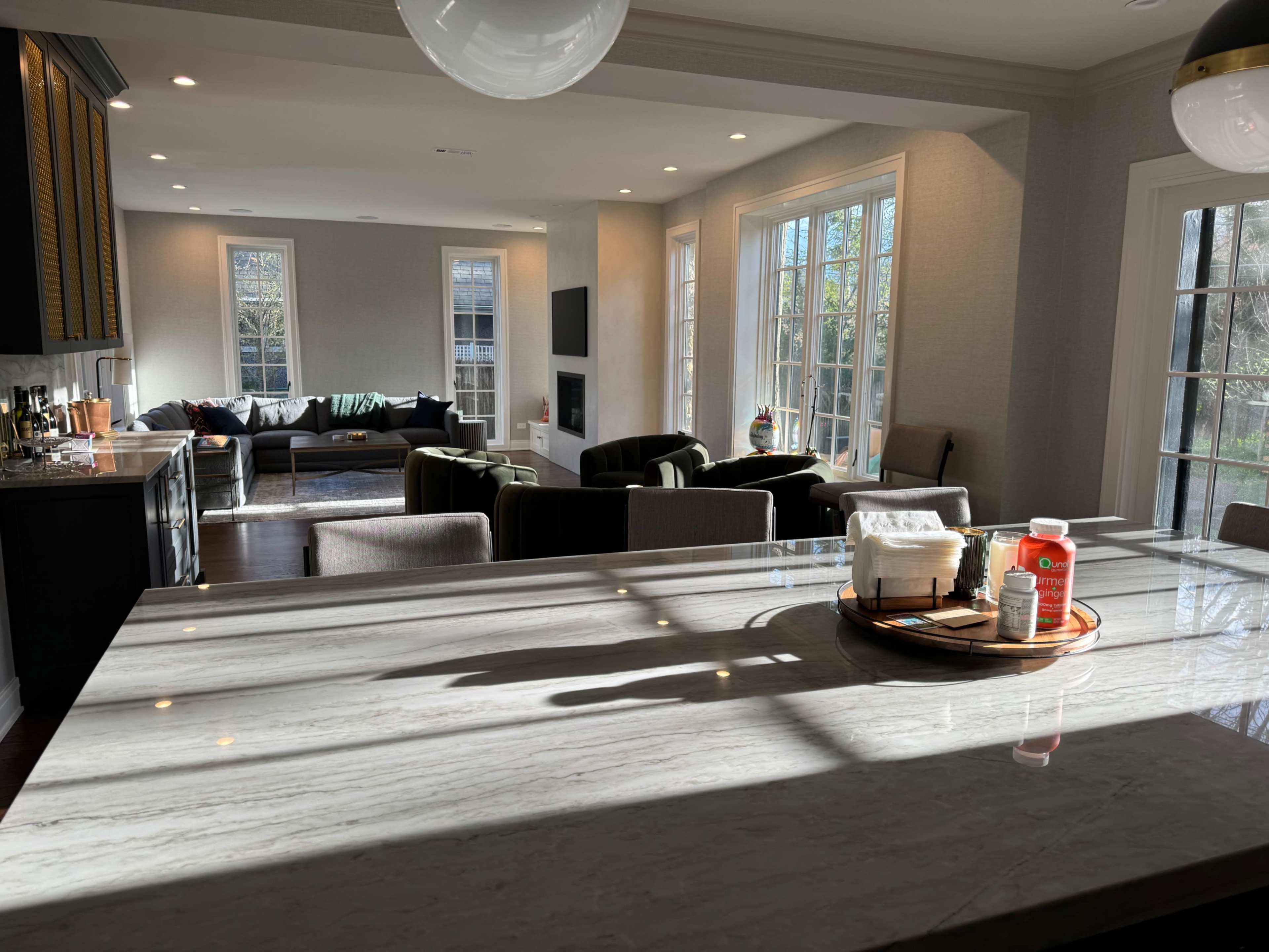 River Forest 9,500+ Square Ft. Single Family Home Image in River Forest Township, River Forest, IL