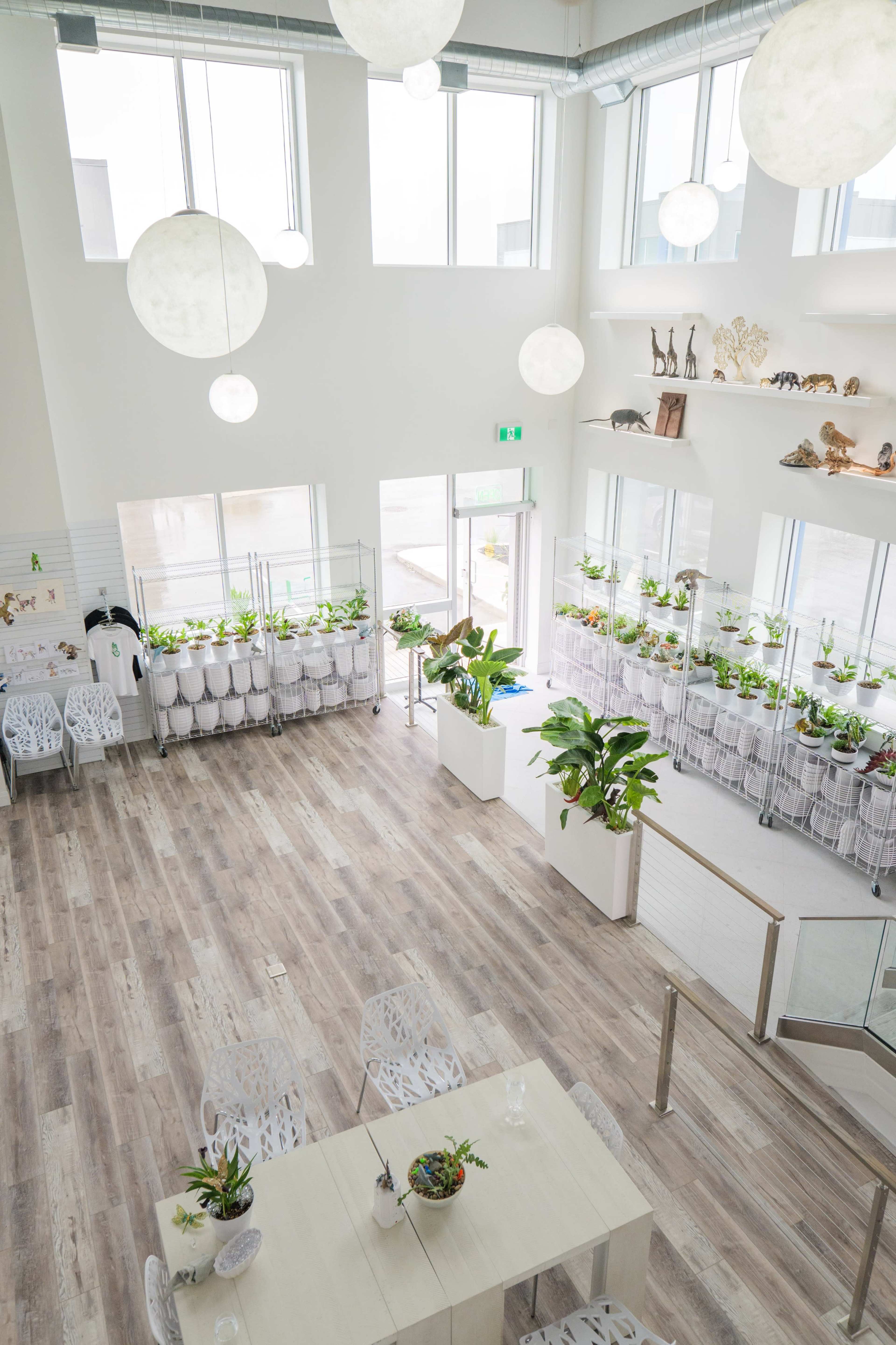 The image shows a brightly lit room with large windows, featuring a small dining area with white furniture and numerous potted plants arranged along the walls.