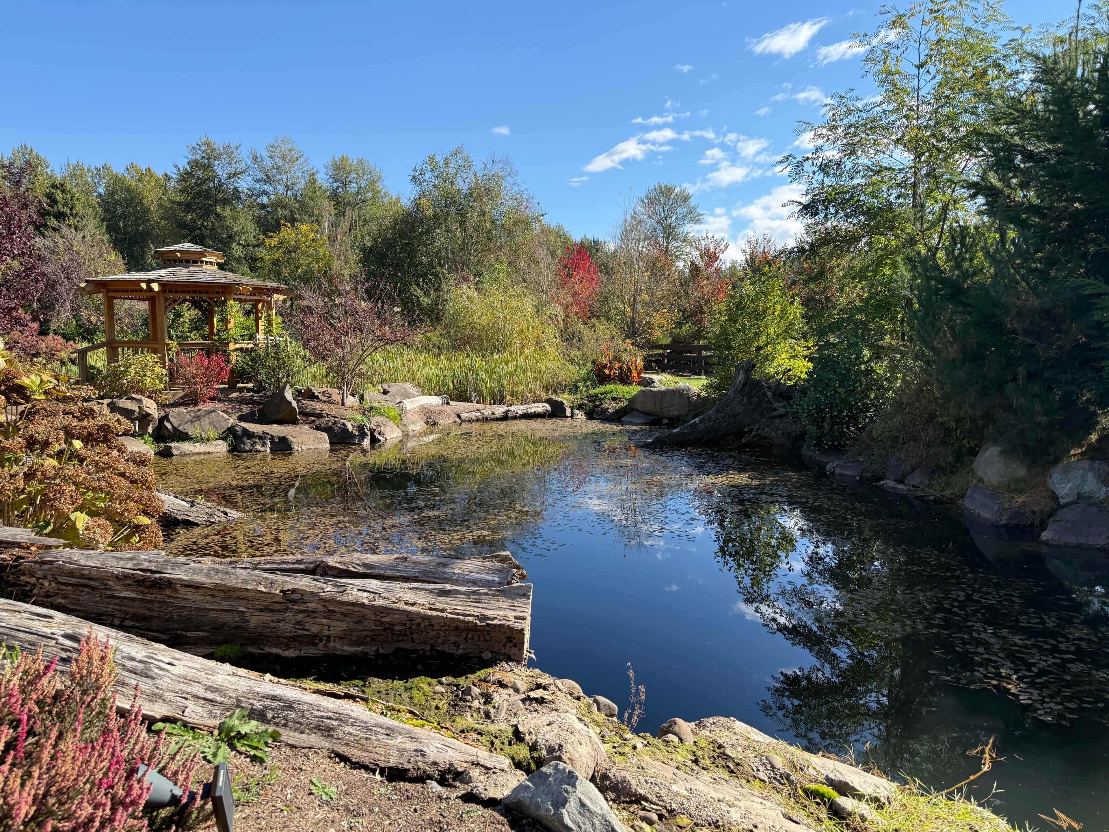 The image shows a tranquil pond surrounded by lush greenery and colorful autumn trees, with a wooden gazebo visible in the background.