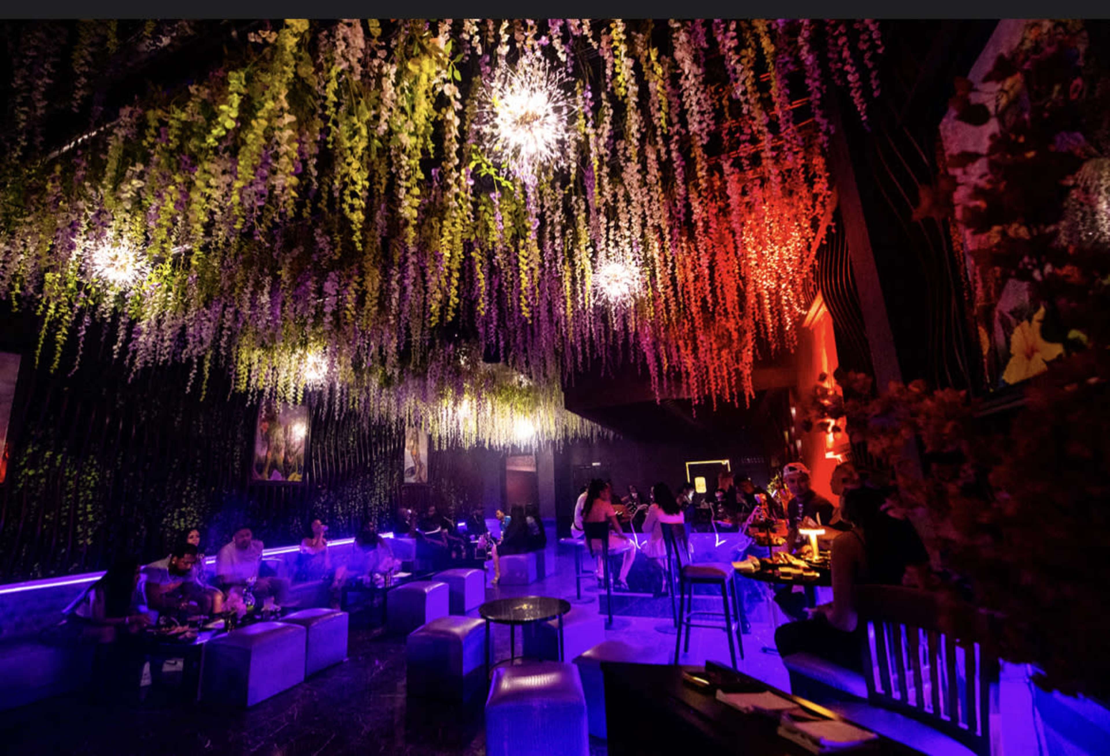 A dimly lit interior of a stylish venue with hanging greenery and modern seating arrangements.