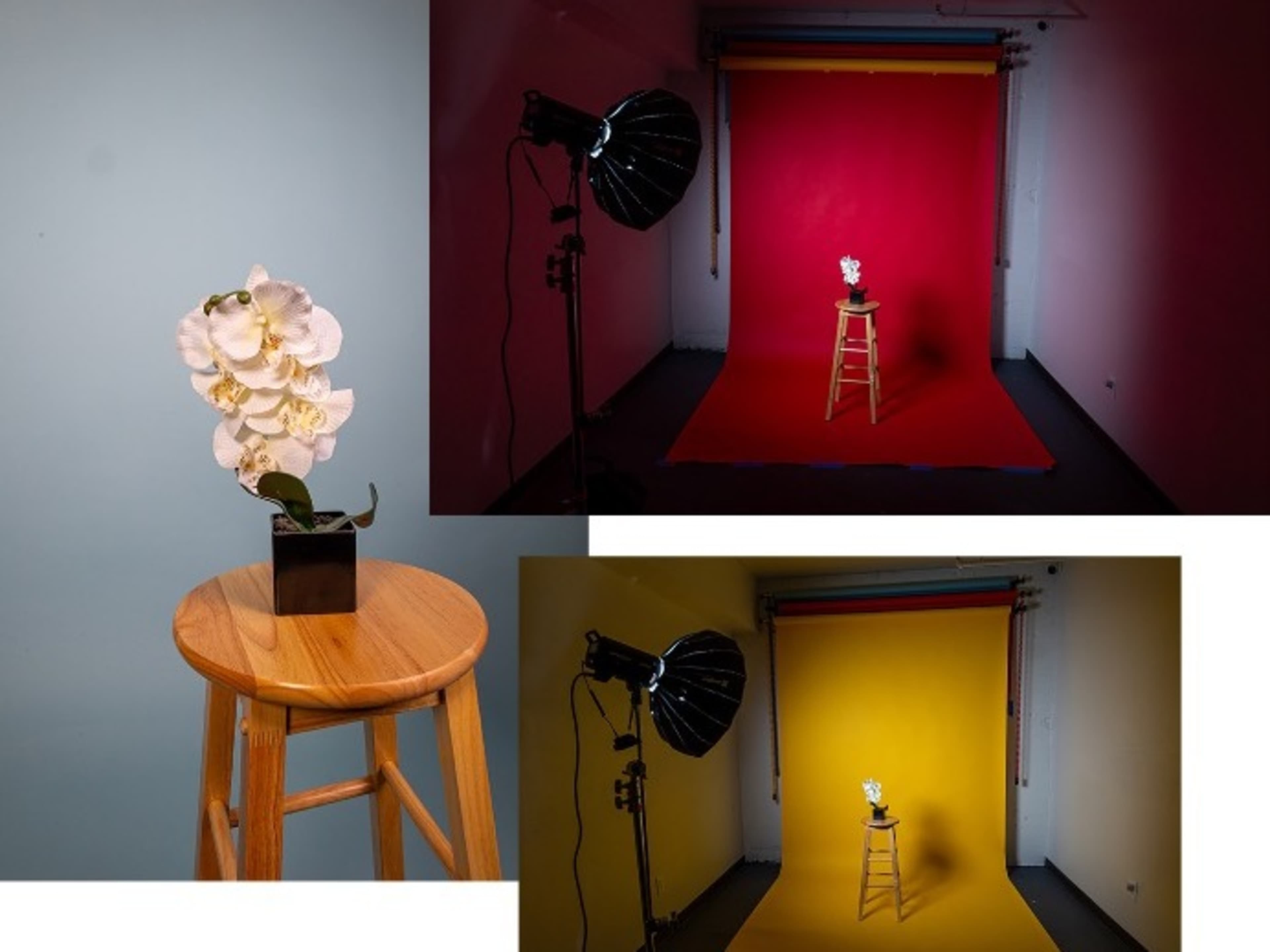 Colored Backdrops (All 3) 