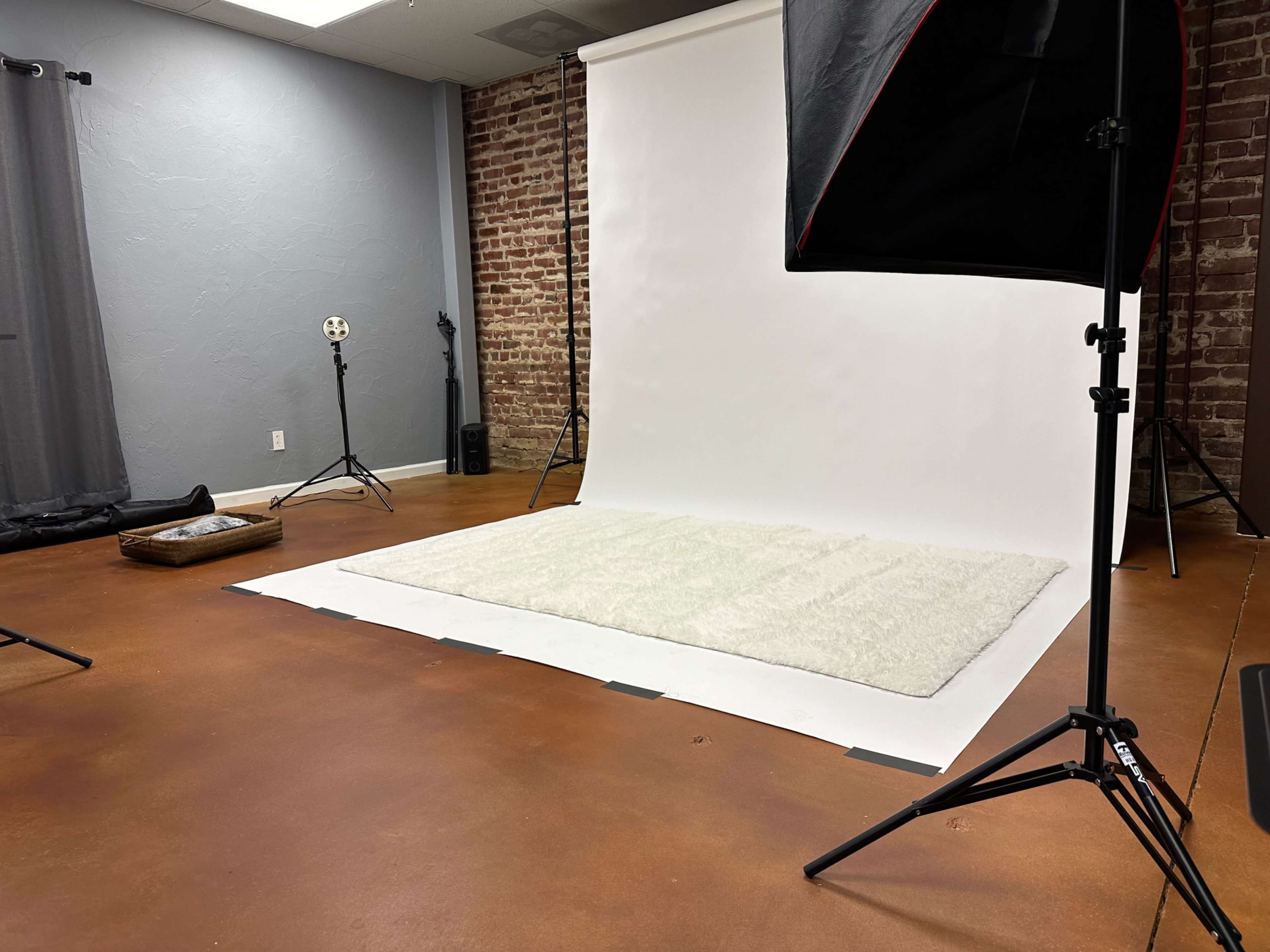 The image shows a photography studio with a white backdrop, a soft rug on the floor, and various lighting equipment set up in a brick-walled space.