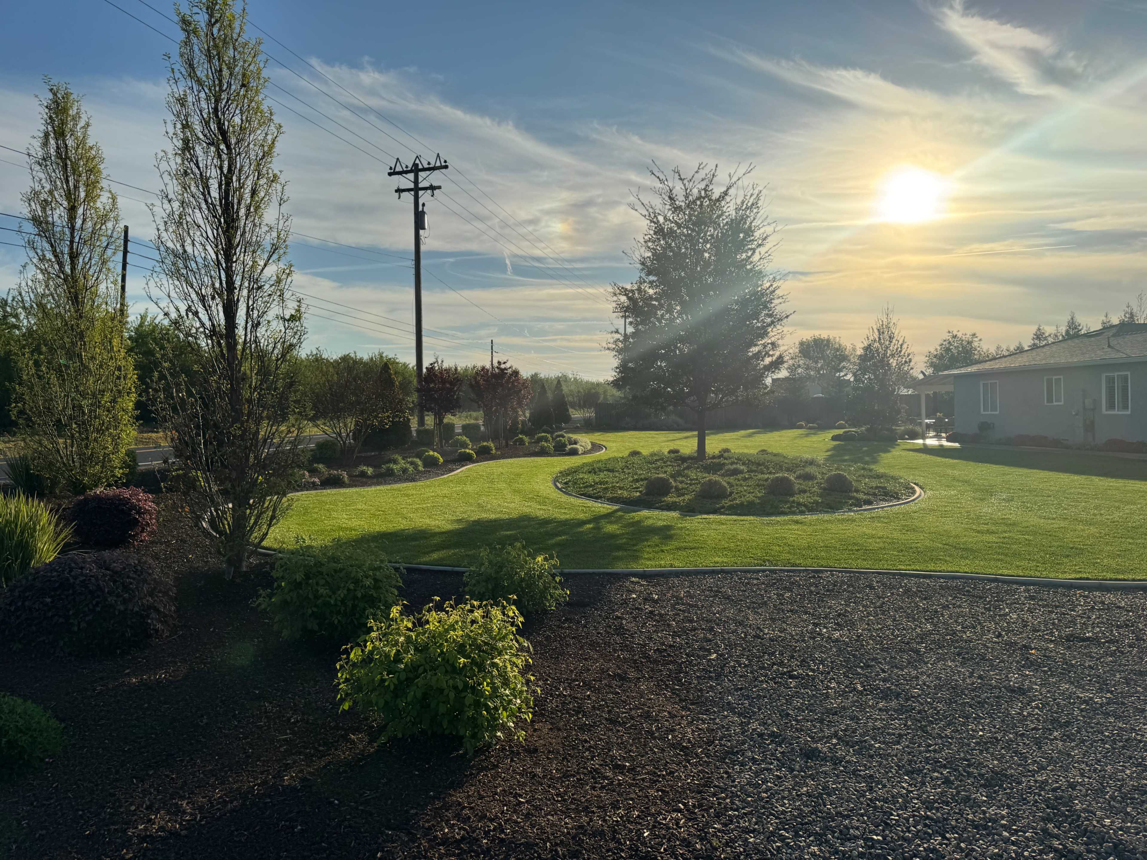 A landscaped yard featuring neatly trimmed shrubs, a grassy area, and a backdrop of trees and a house under a sunny sky.