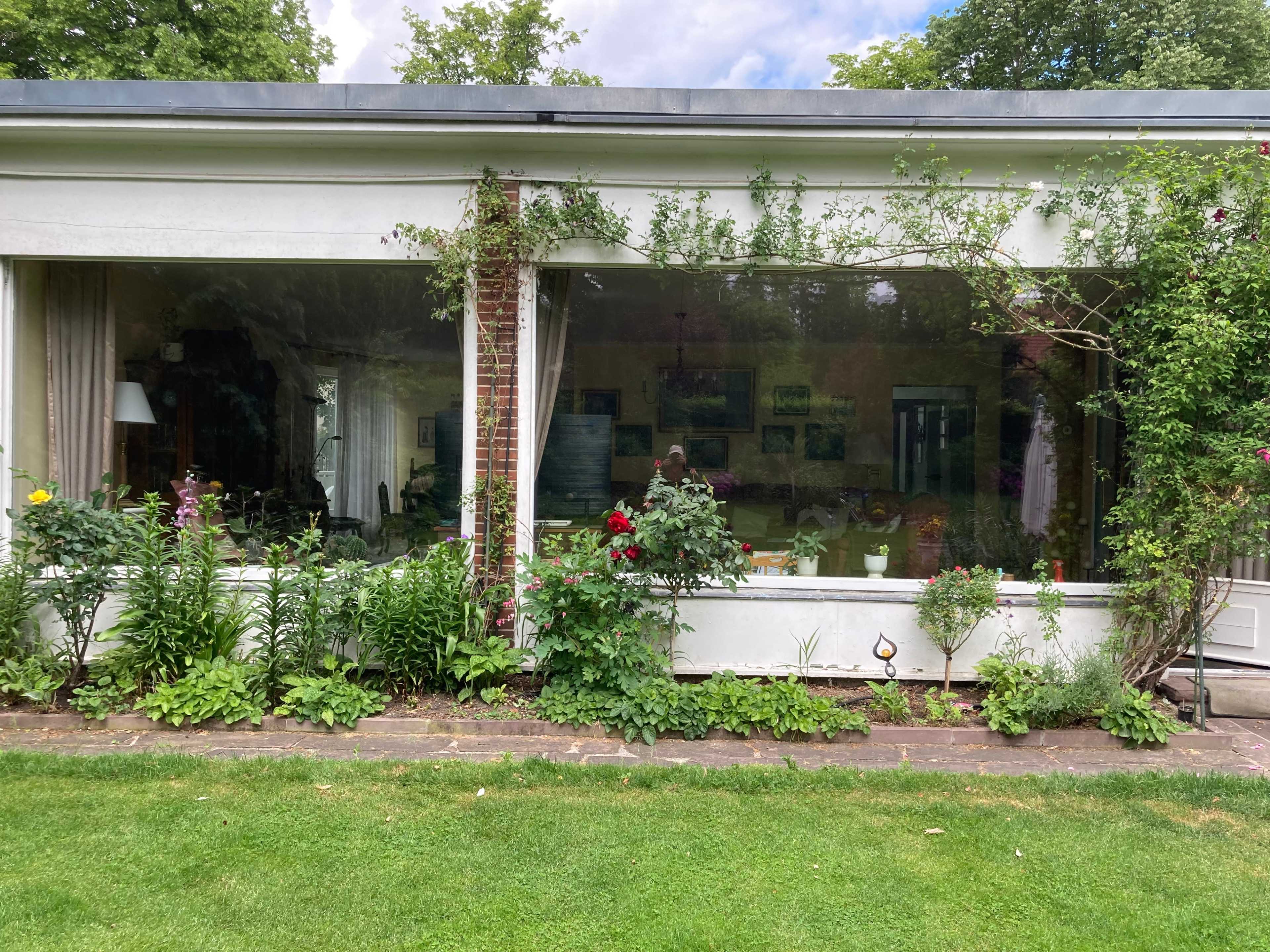 A modern house with large windows is surrounded by a lush garden featuring various plants and flowers.