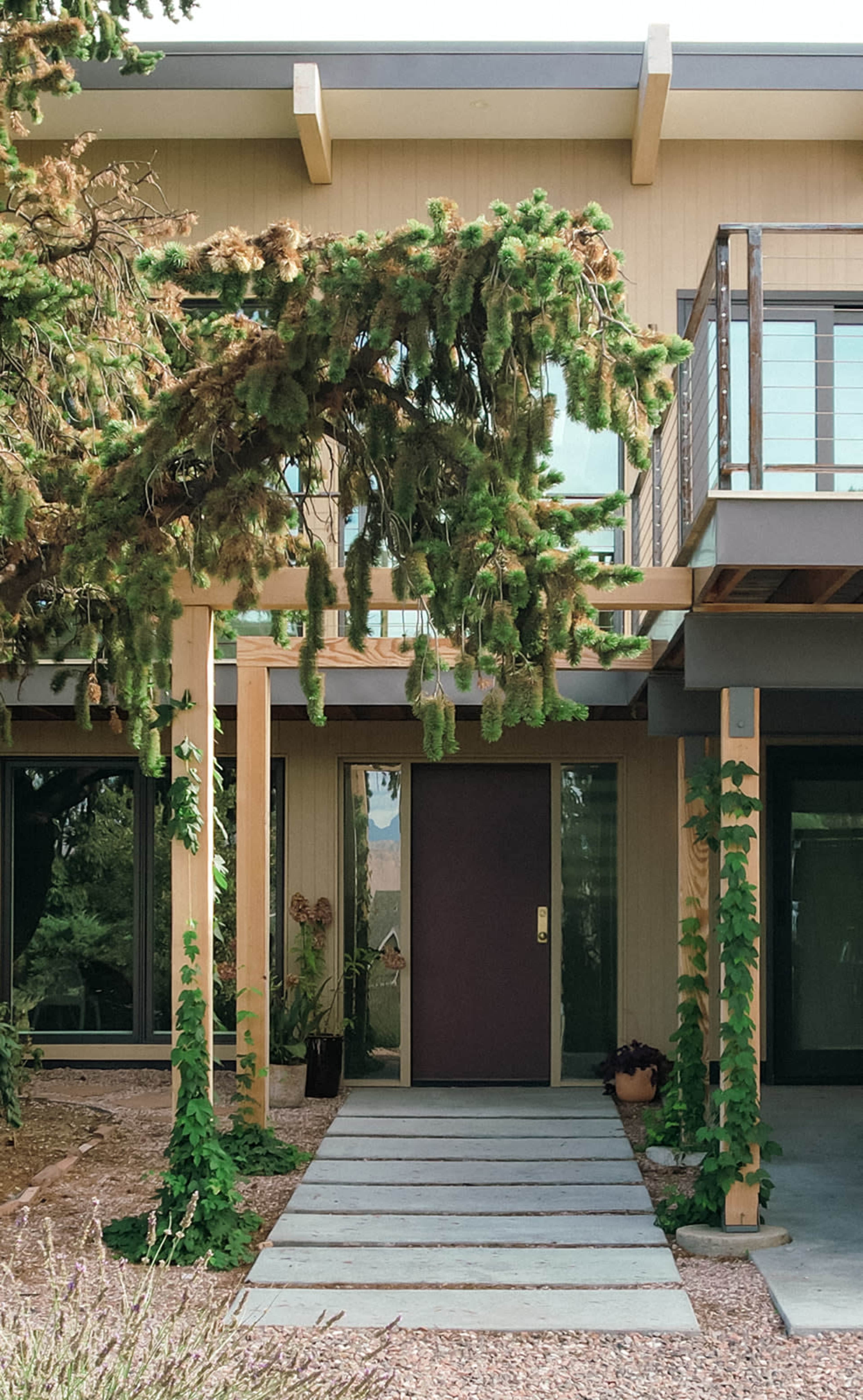 A modern house features a covered porch with a purple door, surrounded by greenery and stone pathways.