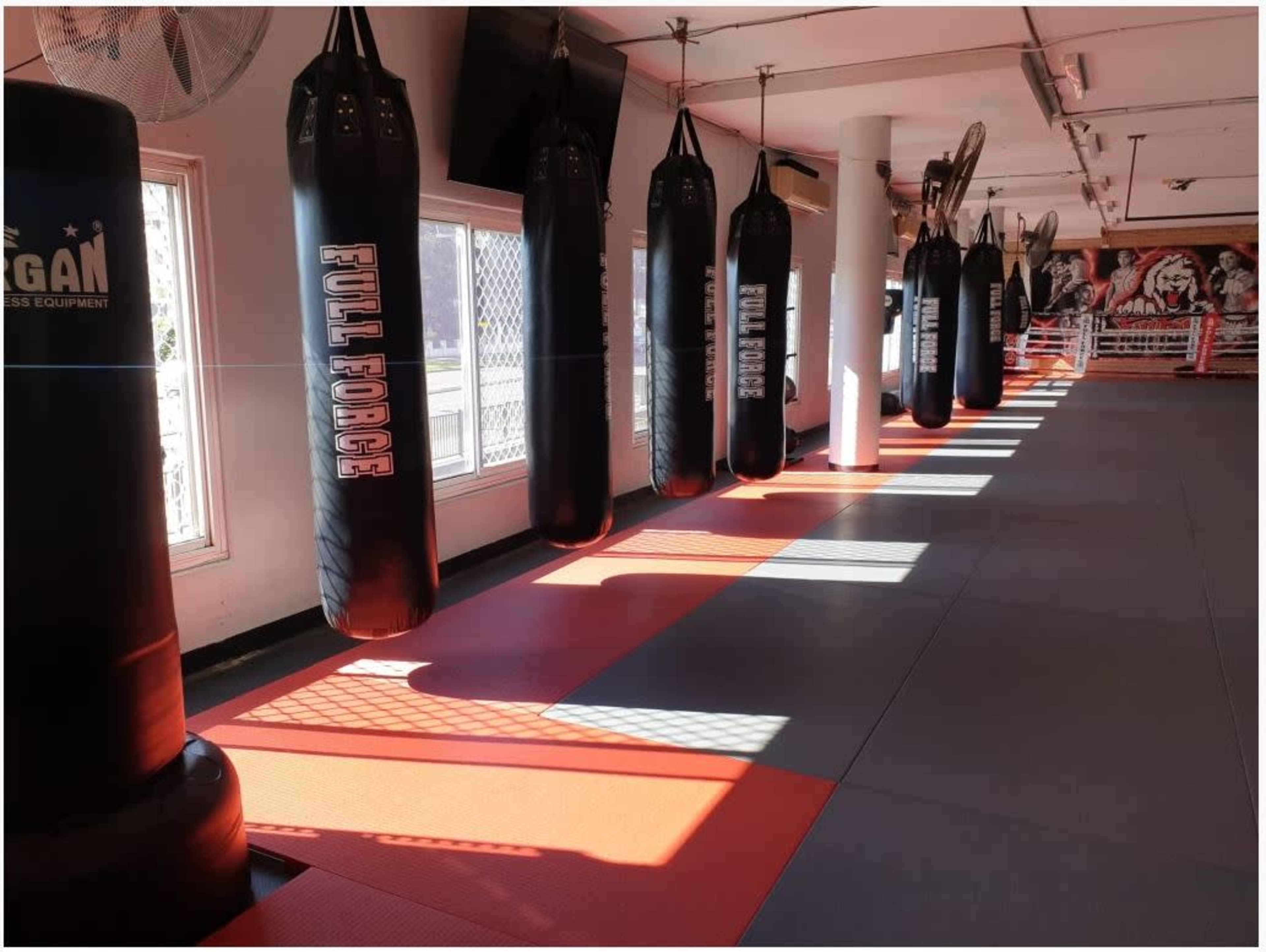 A fitness studio with several hanging punching bags and a padded floor, illuminated by sunlight coming through the windows.