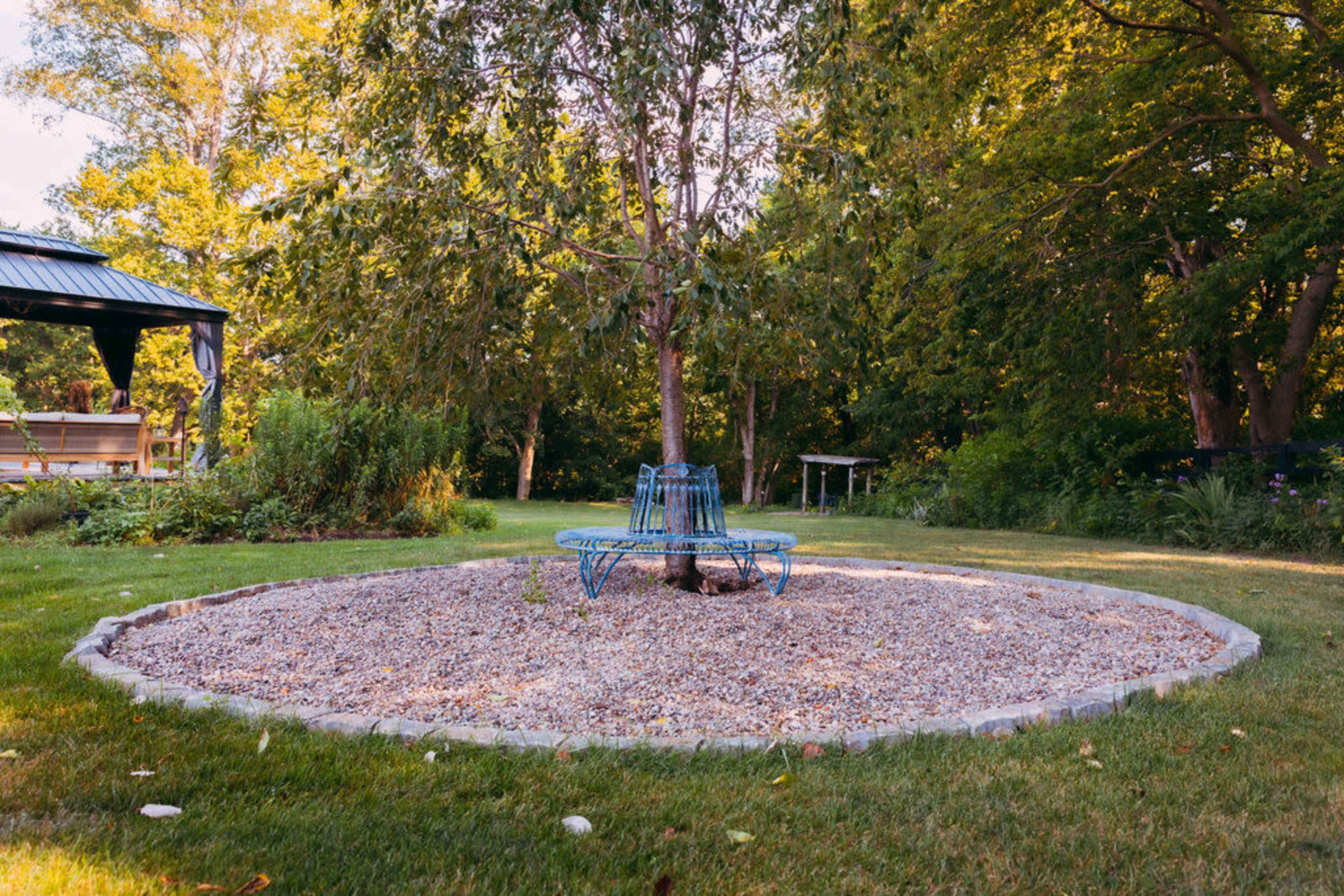 A circular gravel area with a blue metal bench surrounds a small tree in a grassy backyard.