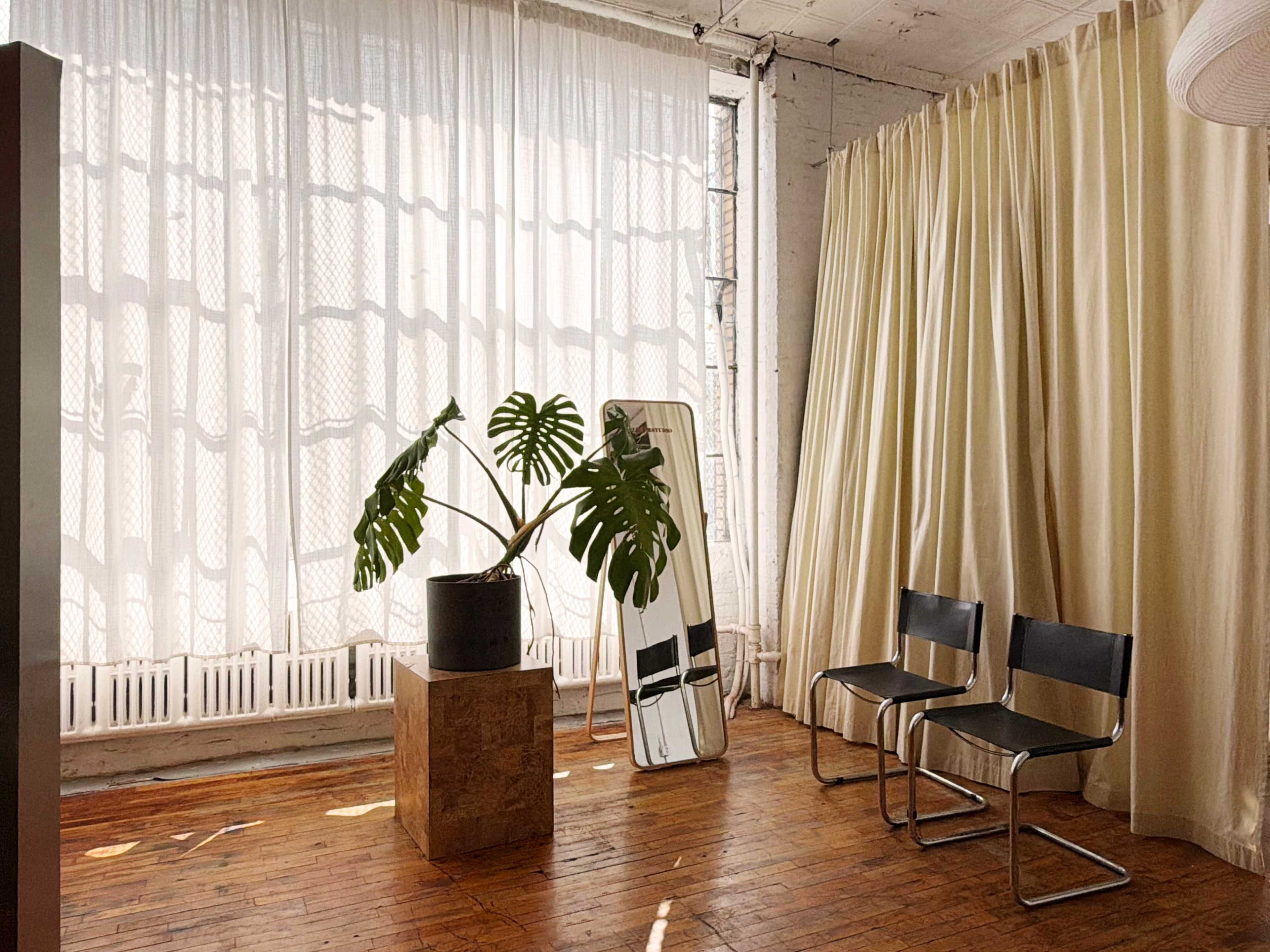 A well-lit interior features a potted plant on a pedestal, a large mirror, and two black chairs beside flowing curtains.