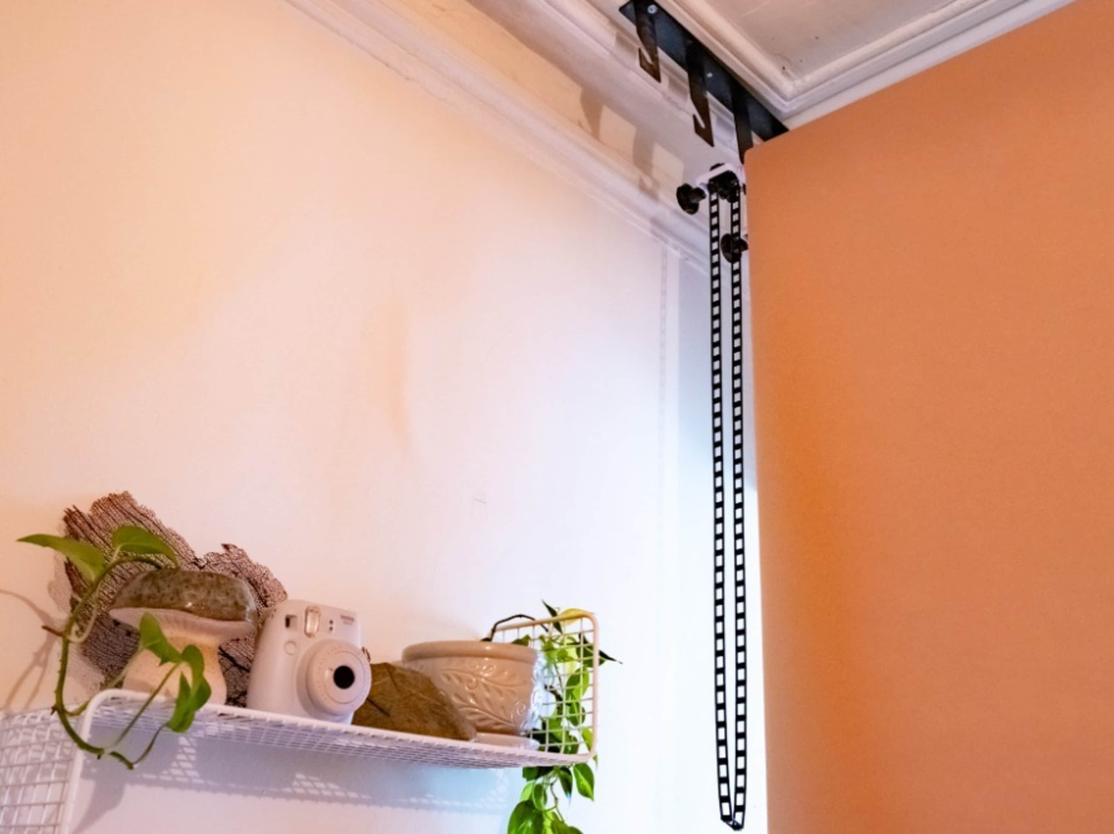 Seamless Paper Backdrop (Floor Use) 