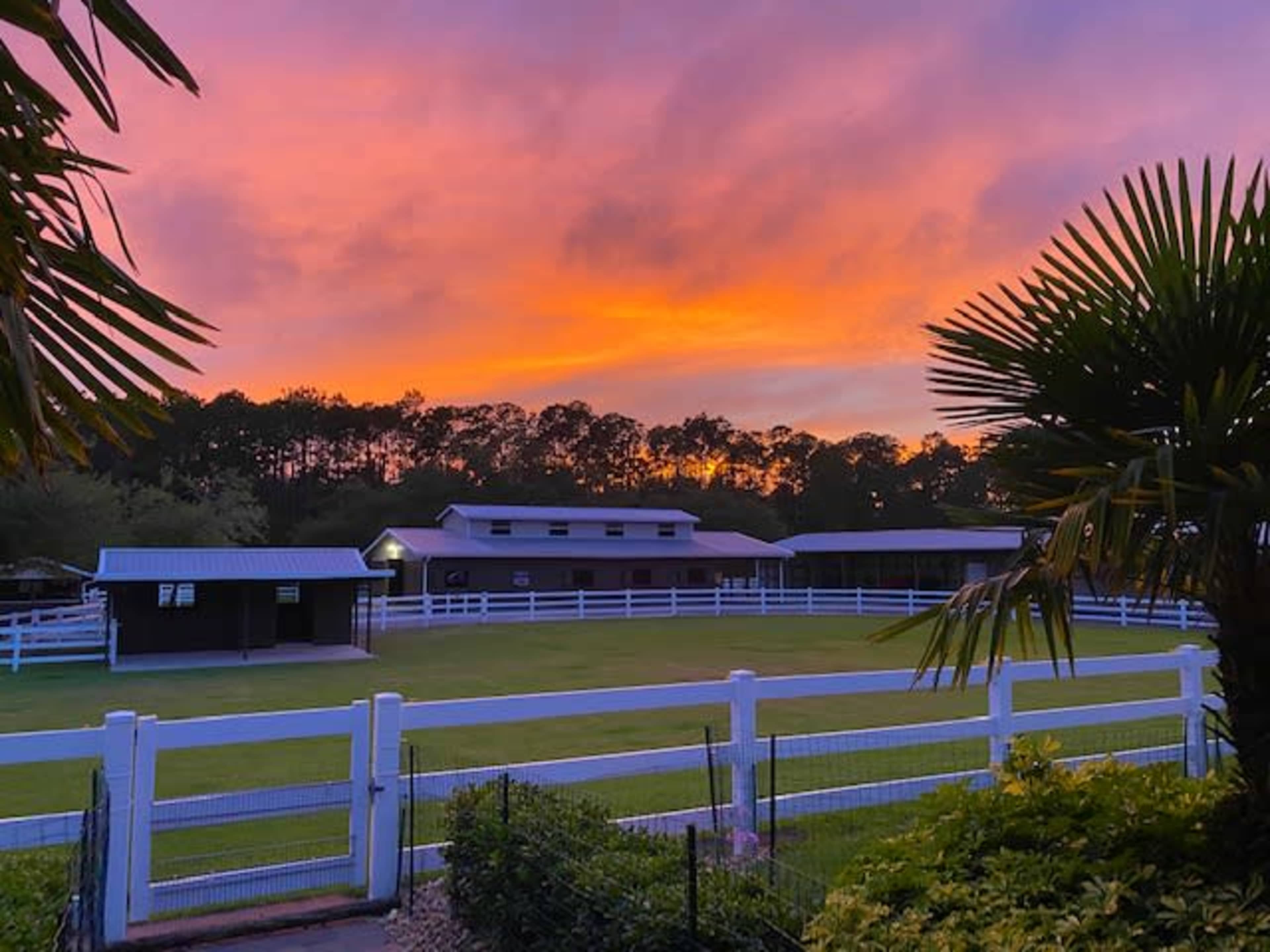 Angel's Animal Sanctuary Image in Spring Forest, New Smyrna Beach, FL