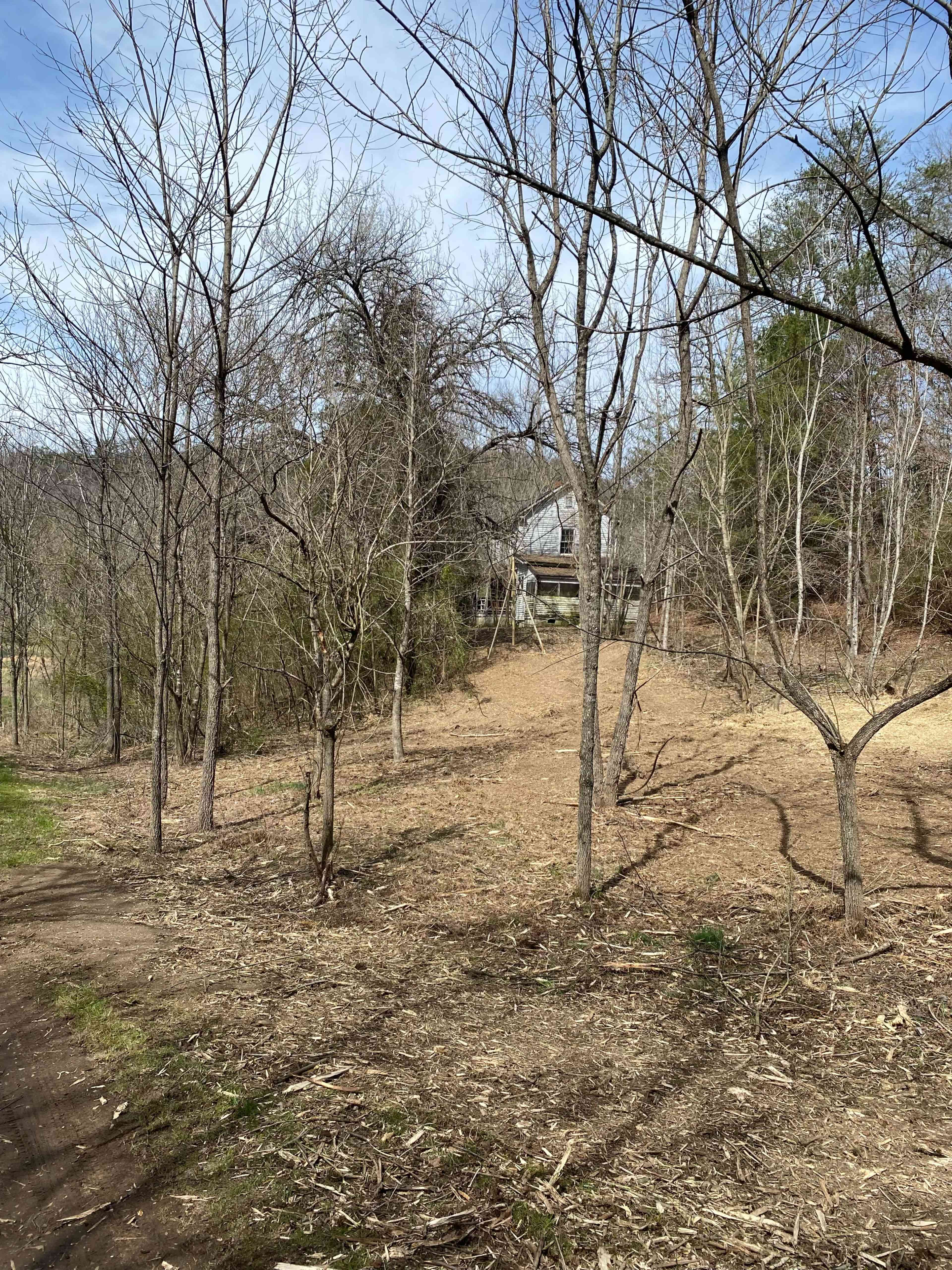 A sparsely wooded area features bare trees along a dirt path leading to a building obscured by foliage in the background.