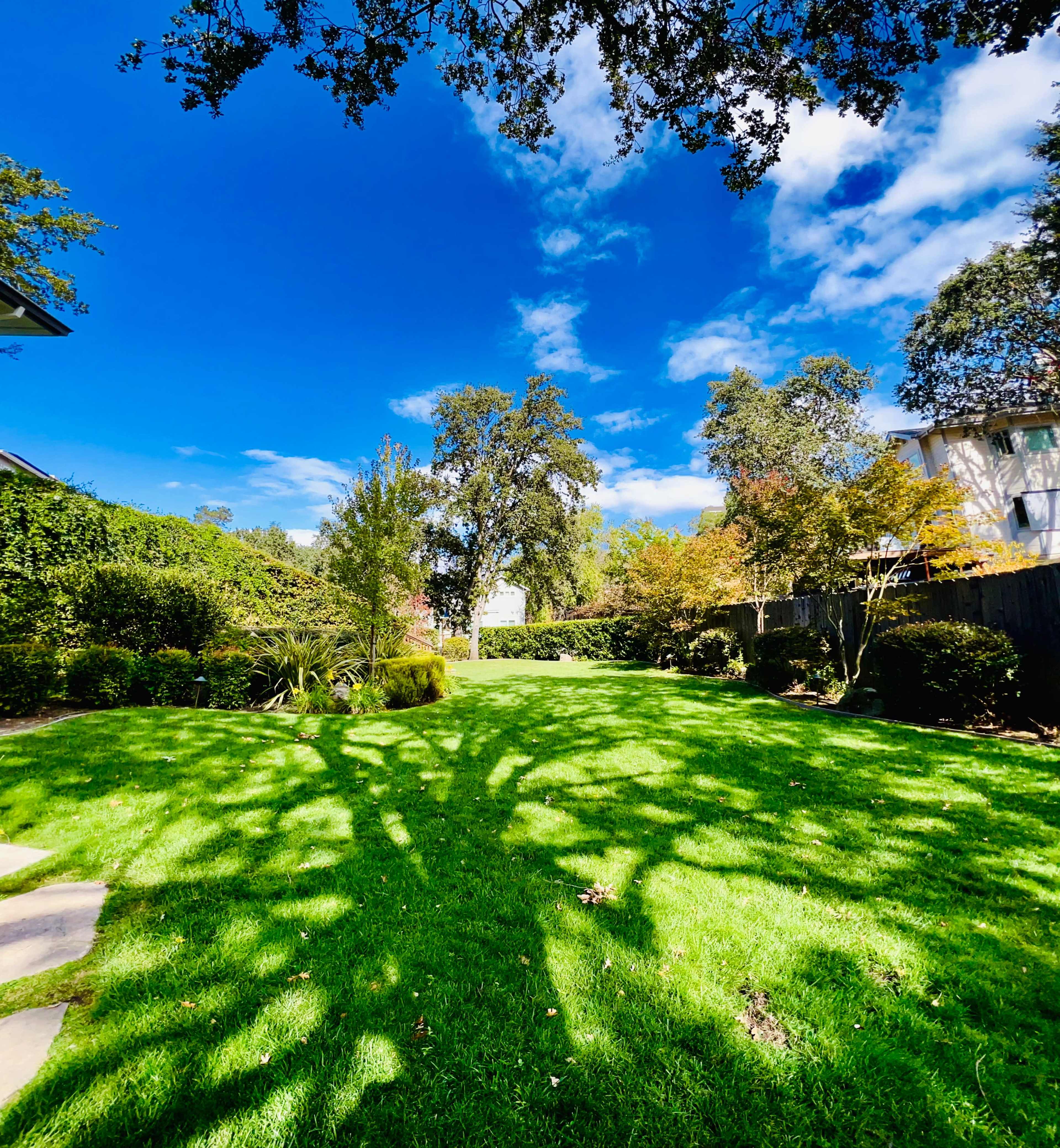 A lush green lawn surrounded by trees and shrubs under a clear blue sky.