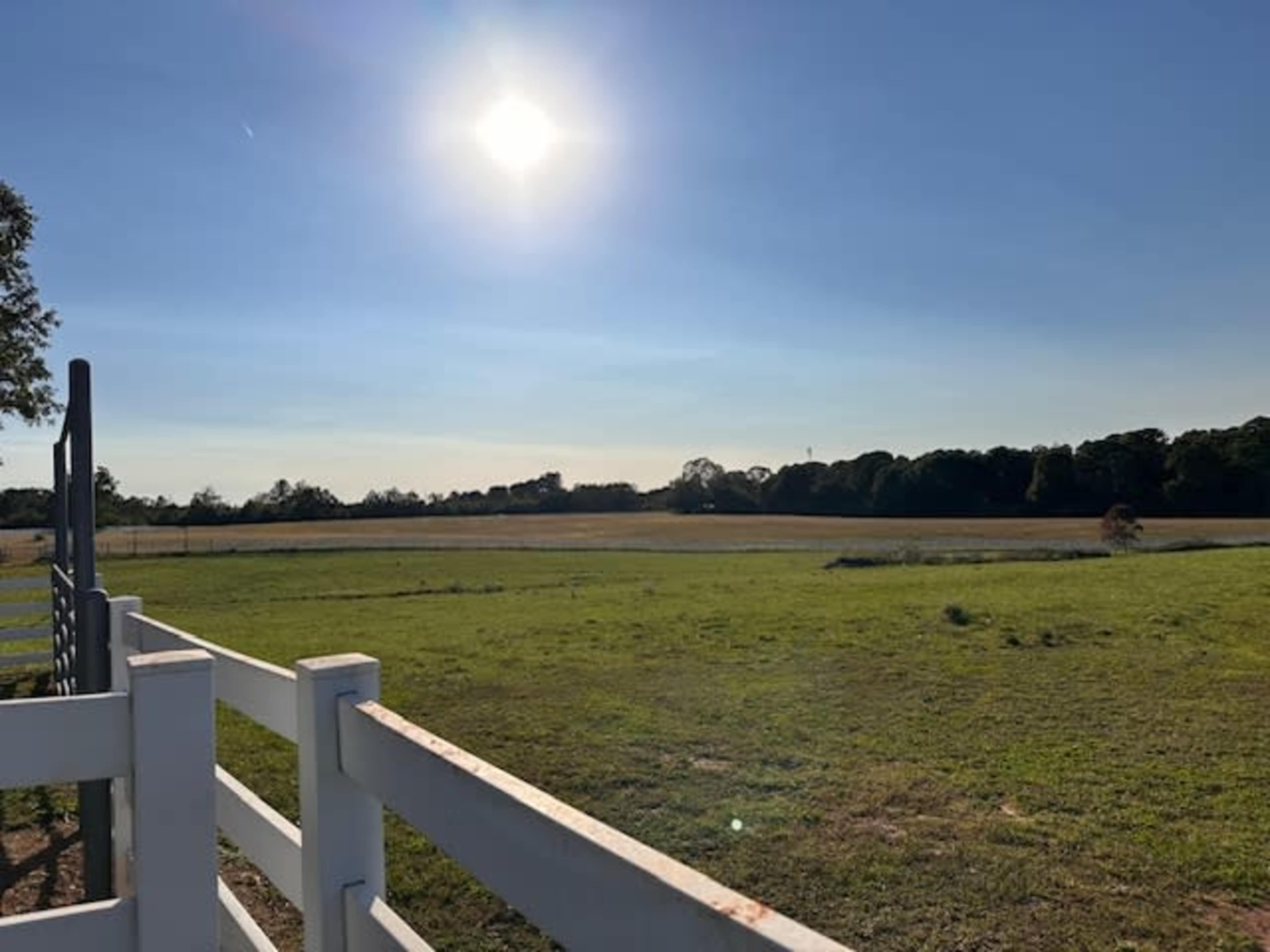 Capture timeless moments on a scenic farm and stable with natural open spaces, paths, mature trees, and sunsets Image in , Winder, GA