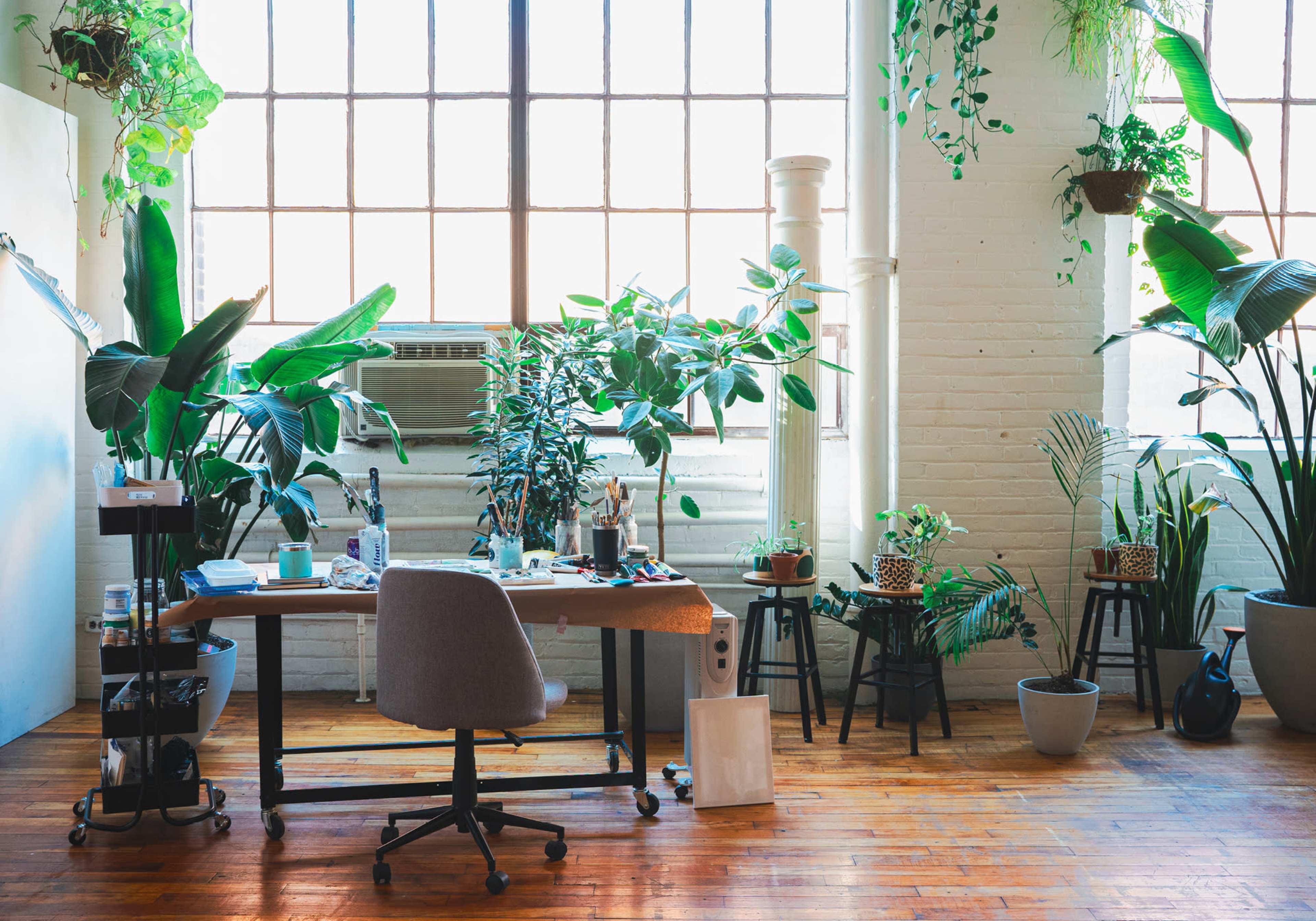 A well-lit office space features a wooden desk surrounded by various potted plants and large windows.