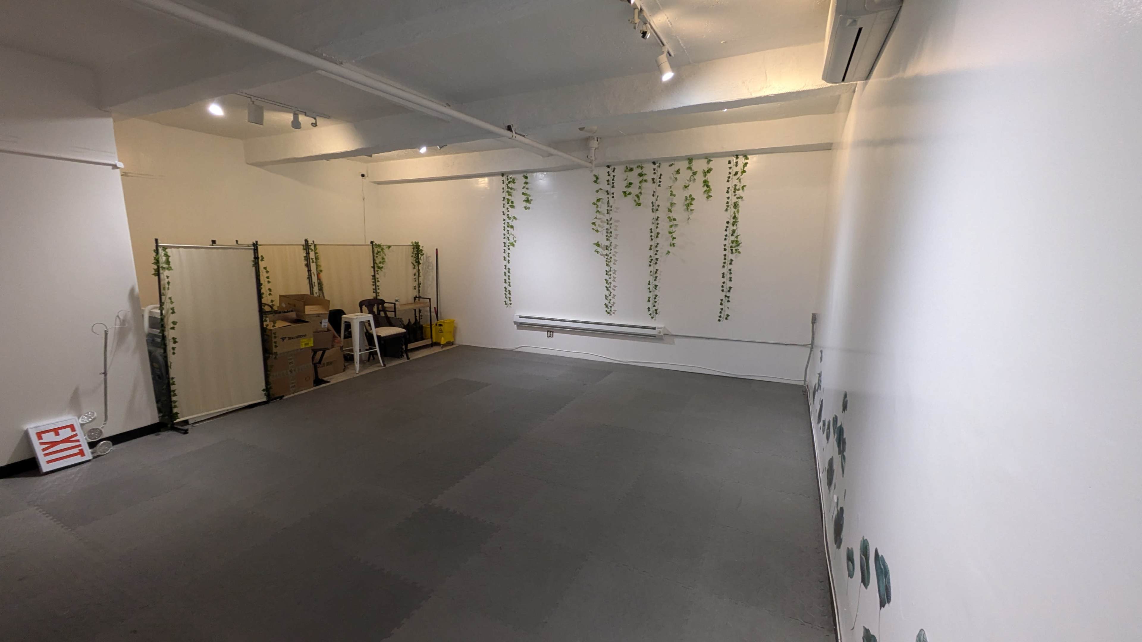 The room features a spacious layout with gray flooring, white walls decorated with hanging greenery, and boxes stacked against one side.