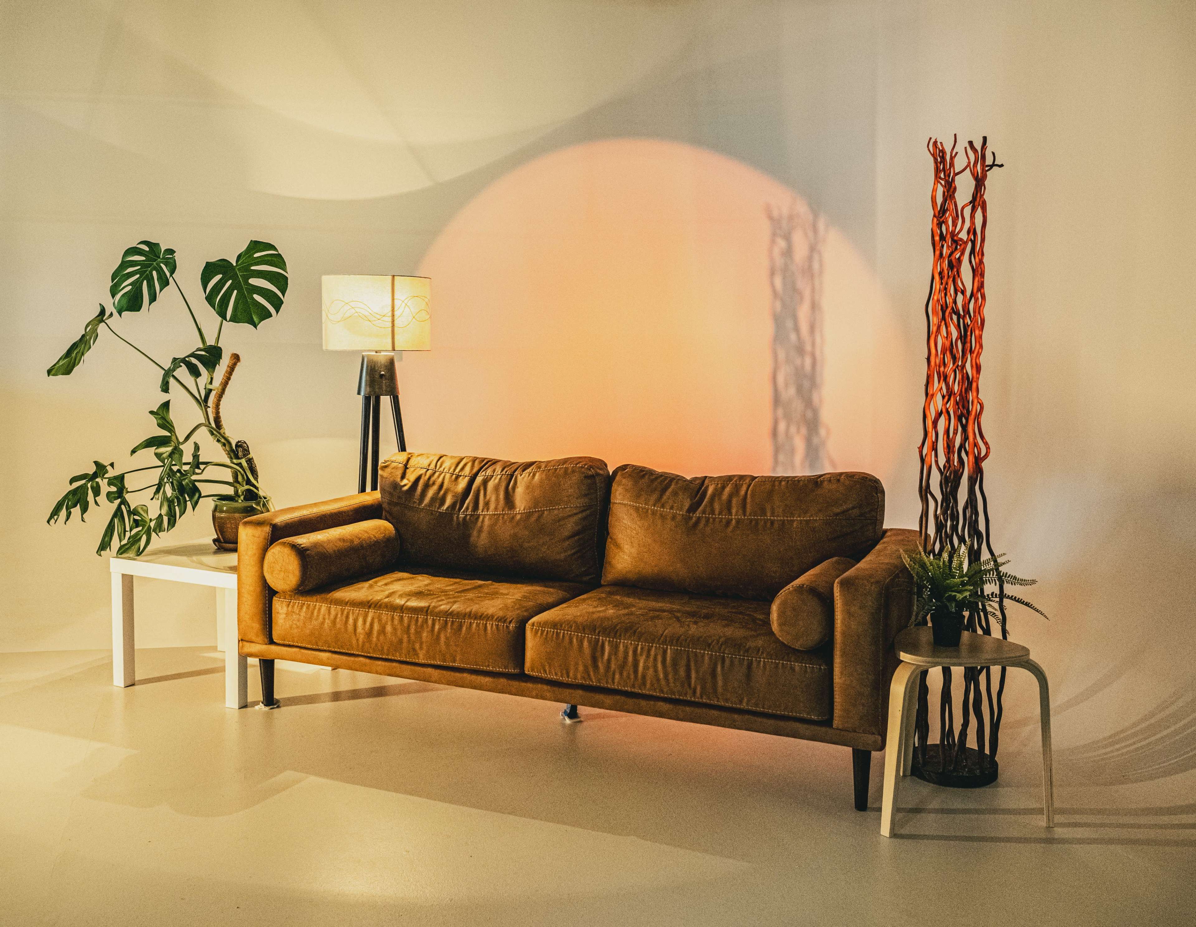 A brown velvet sofa sits against a light wall, accompanied by a lamp, a potted plant, and a decorative arrangement of branches.