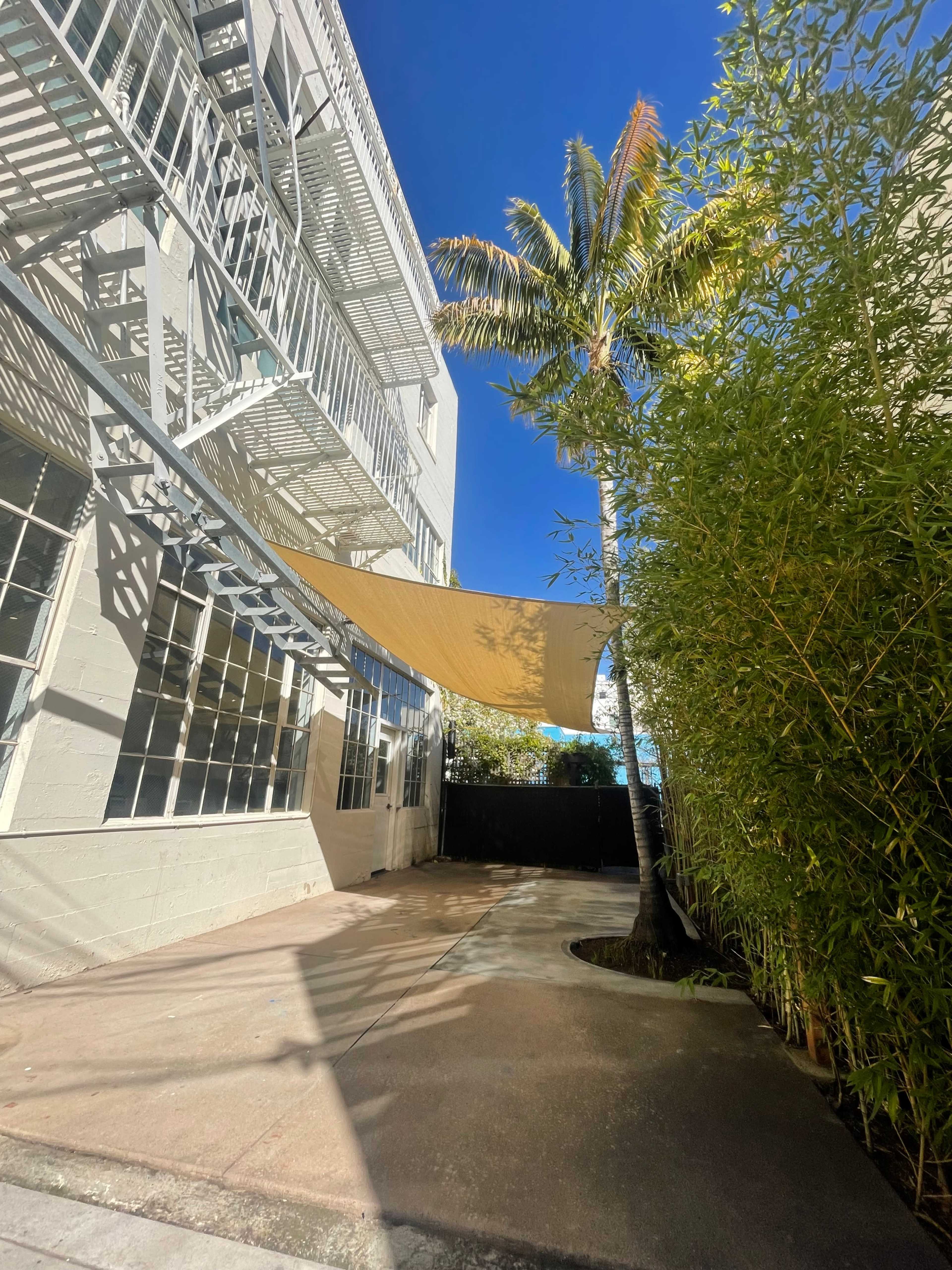 A narrow outdoor space between two buildings, featuring a shaded area with a tan sail, a palm tree, and bamboo plants lining the side.