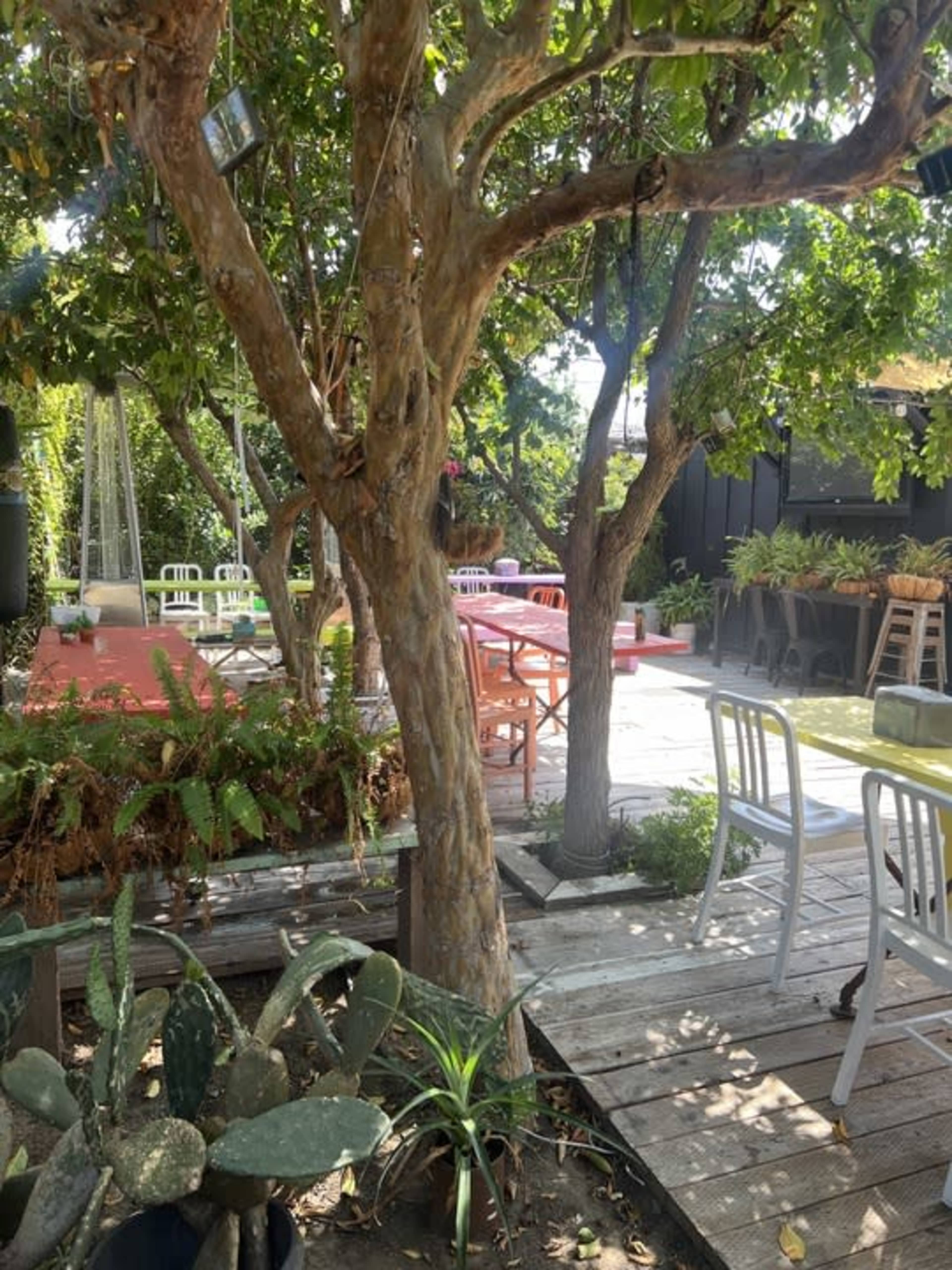 A garden space features wooden decking, various plants, and a mix of colorful chairs and tables under trees.