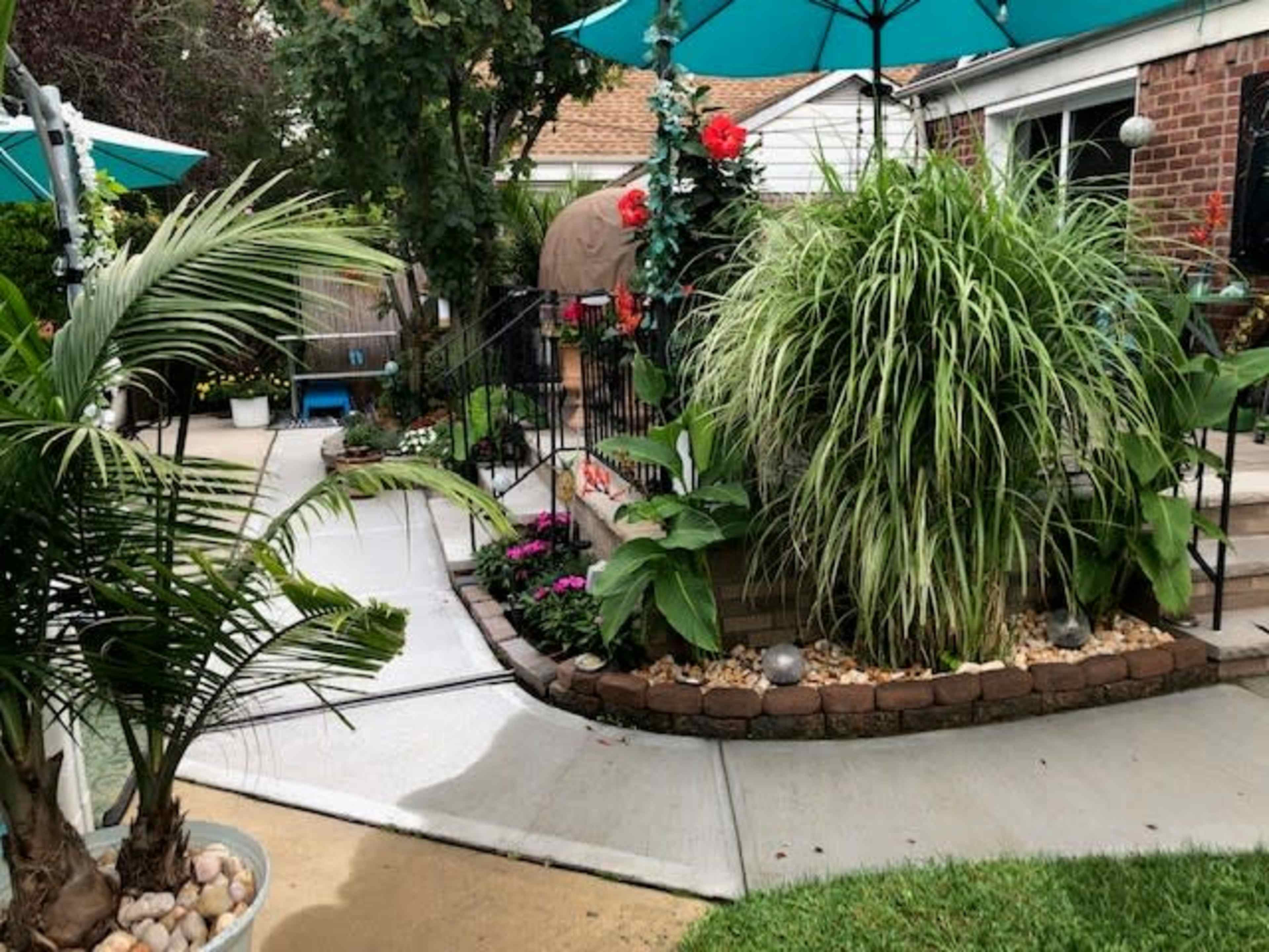 The image shows a well-maintained backyard garden featuring decorative plants, a stone pathway, and patio umbrellas.