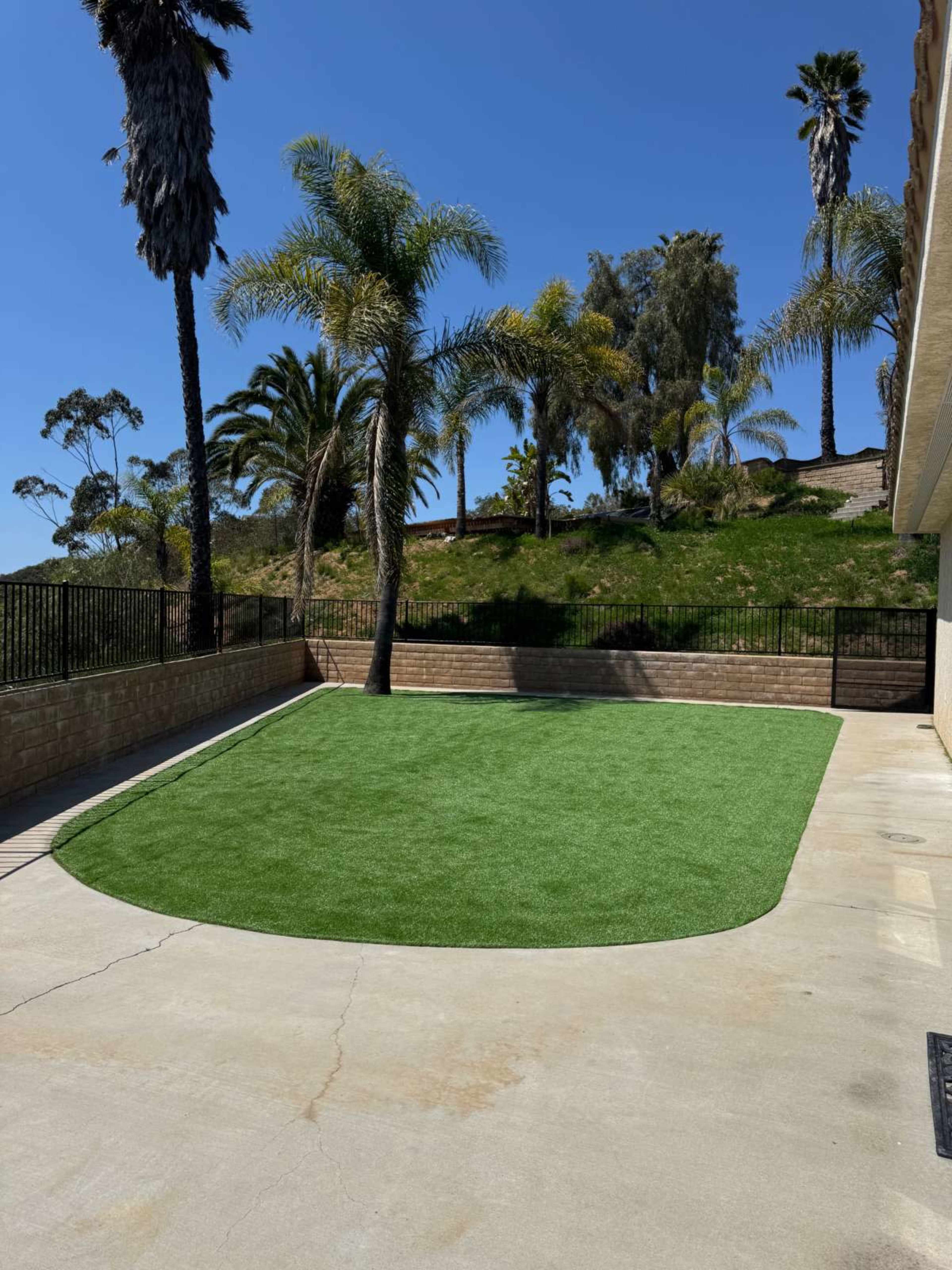 The image shows a landscaped area with artificial grass surrounded by palm trees and a paved concrete surface.