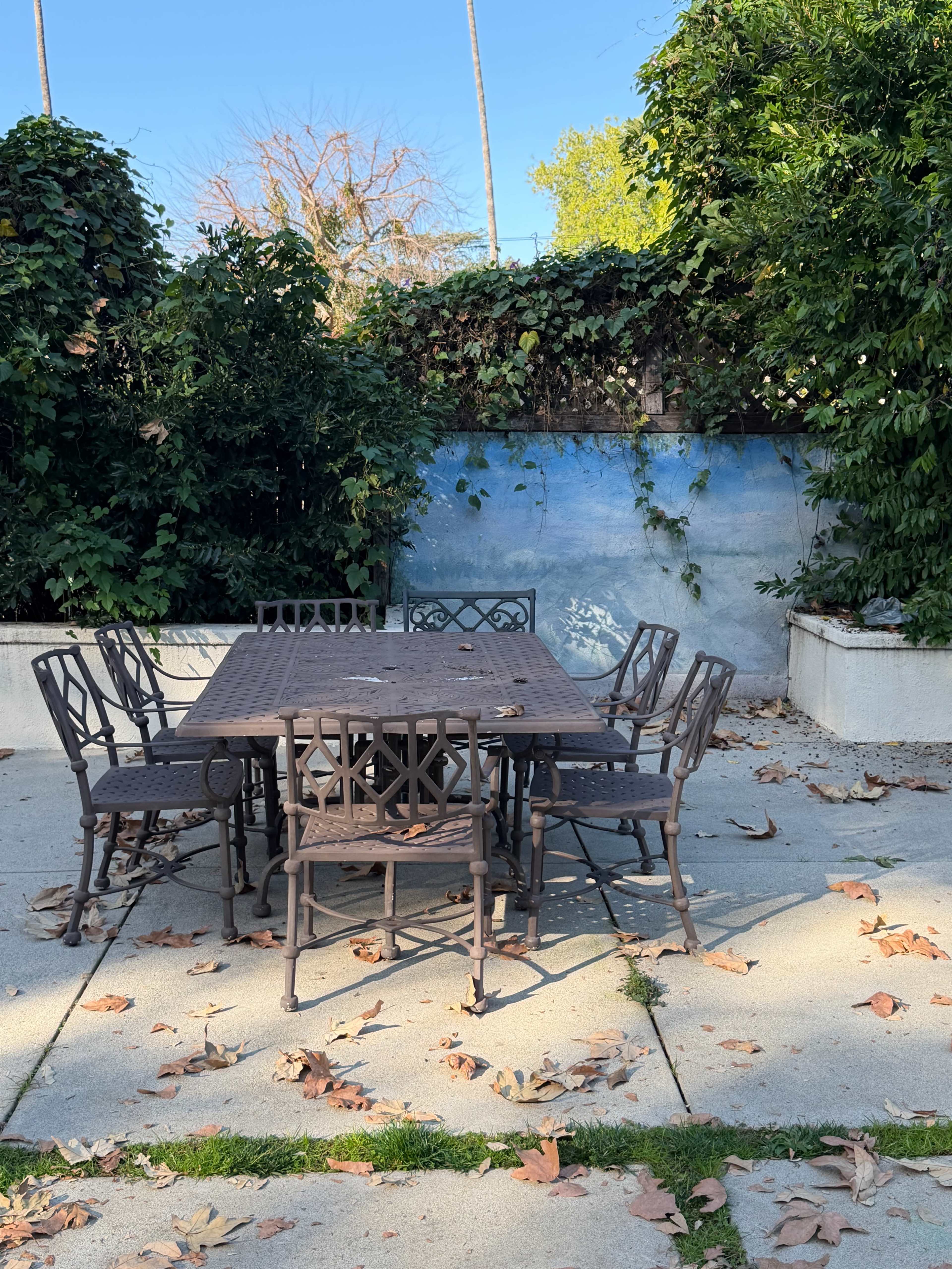 A rectangular outdoor dining table surrounded by eight metal chairs sits on a concrete patio, with fallen leaves scattered around and greenery surrounding a painted wall in the background.