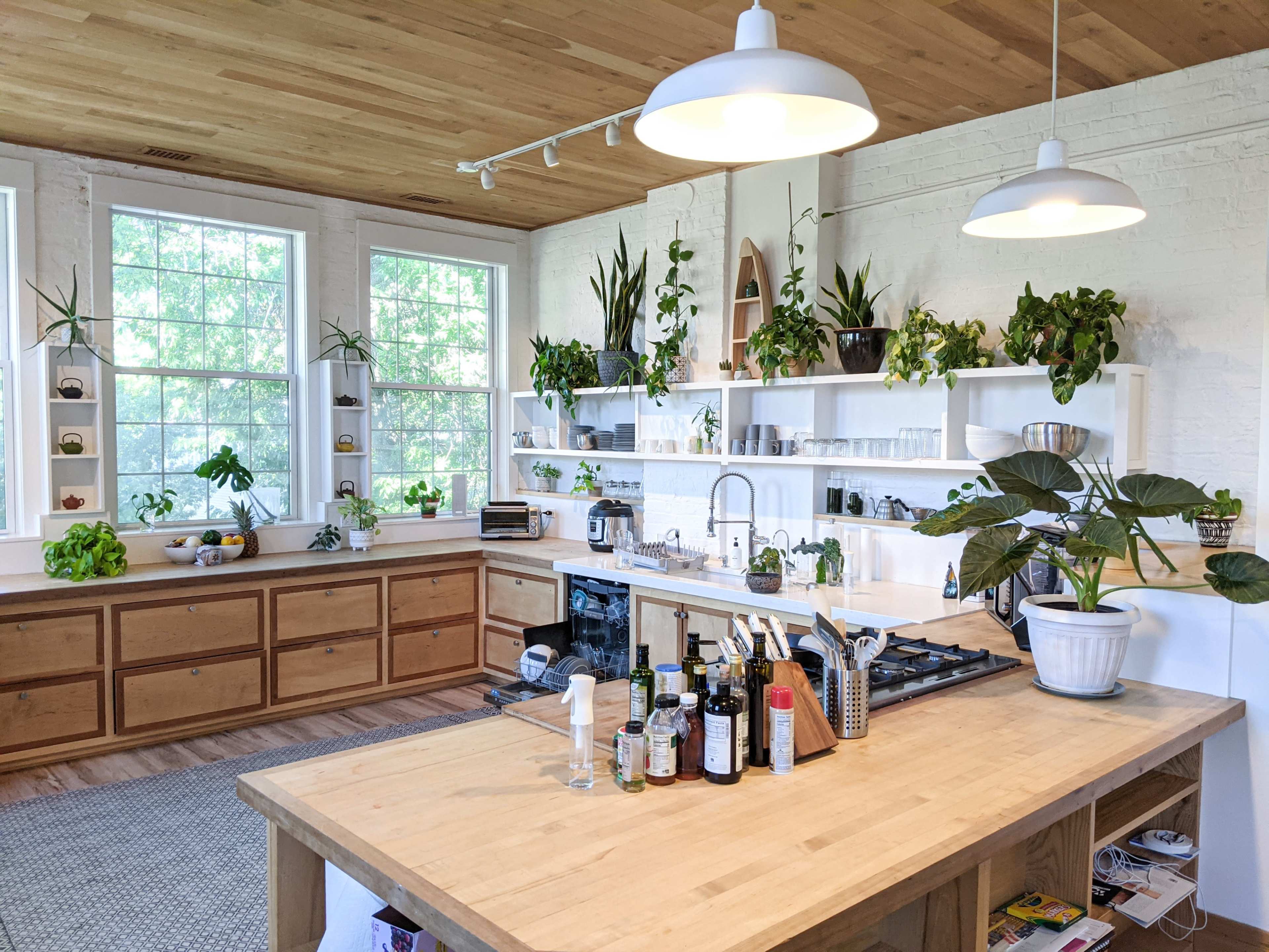 A bright kitchen features wooden cabinets, a large central island, and numerous plants on shelves and windowsills.