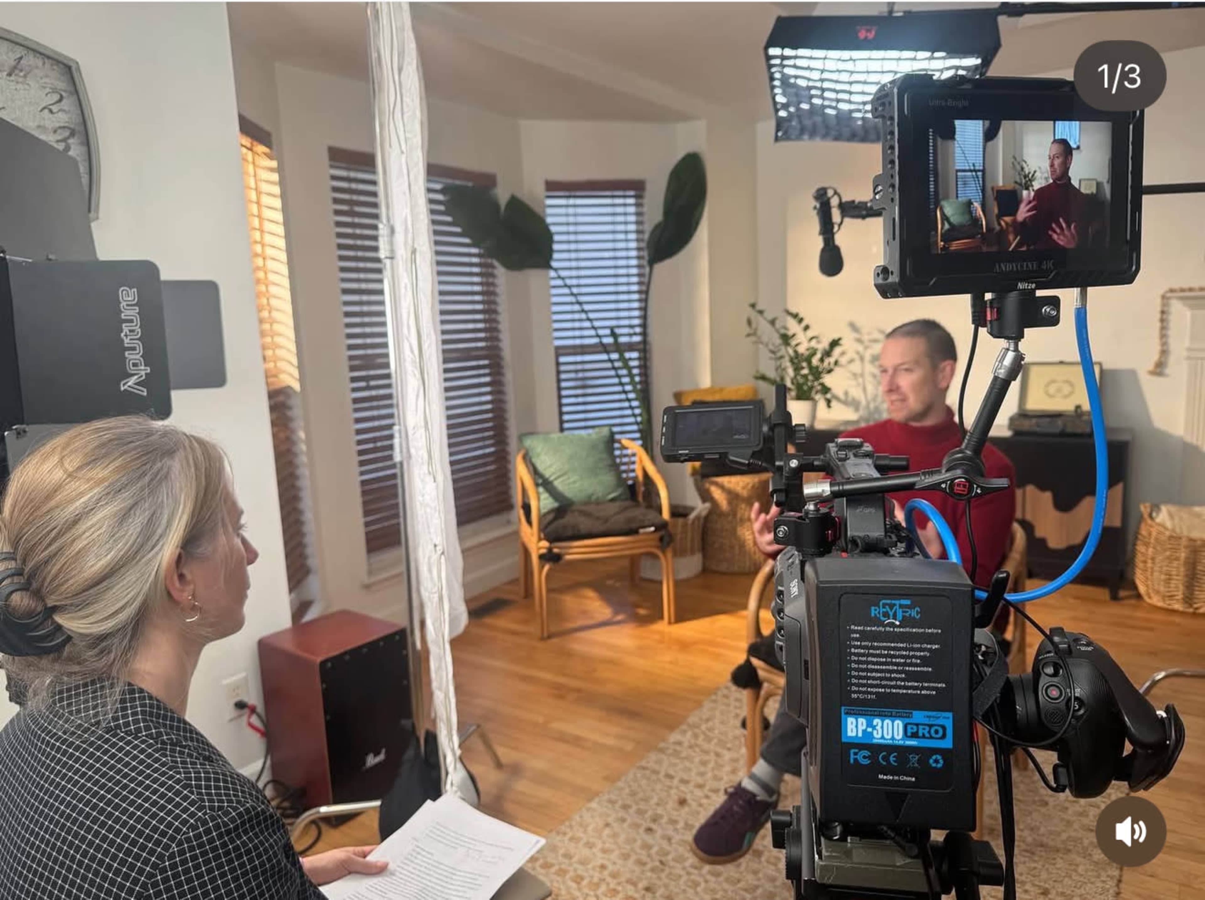 Boho Minimalist Oasis with Natural Light Image in Central West End, St. Louis, MO