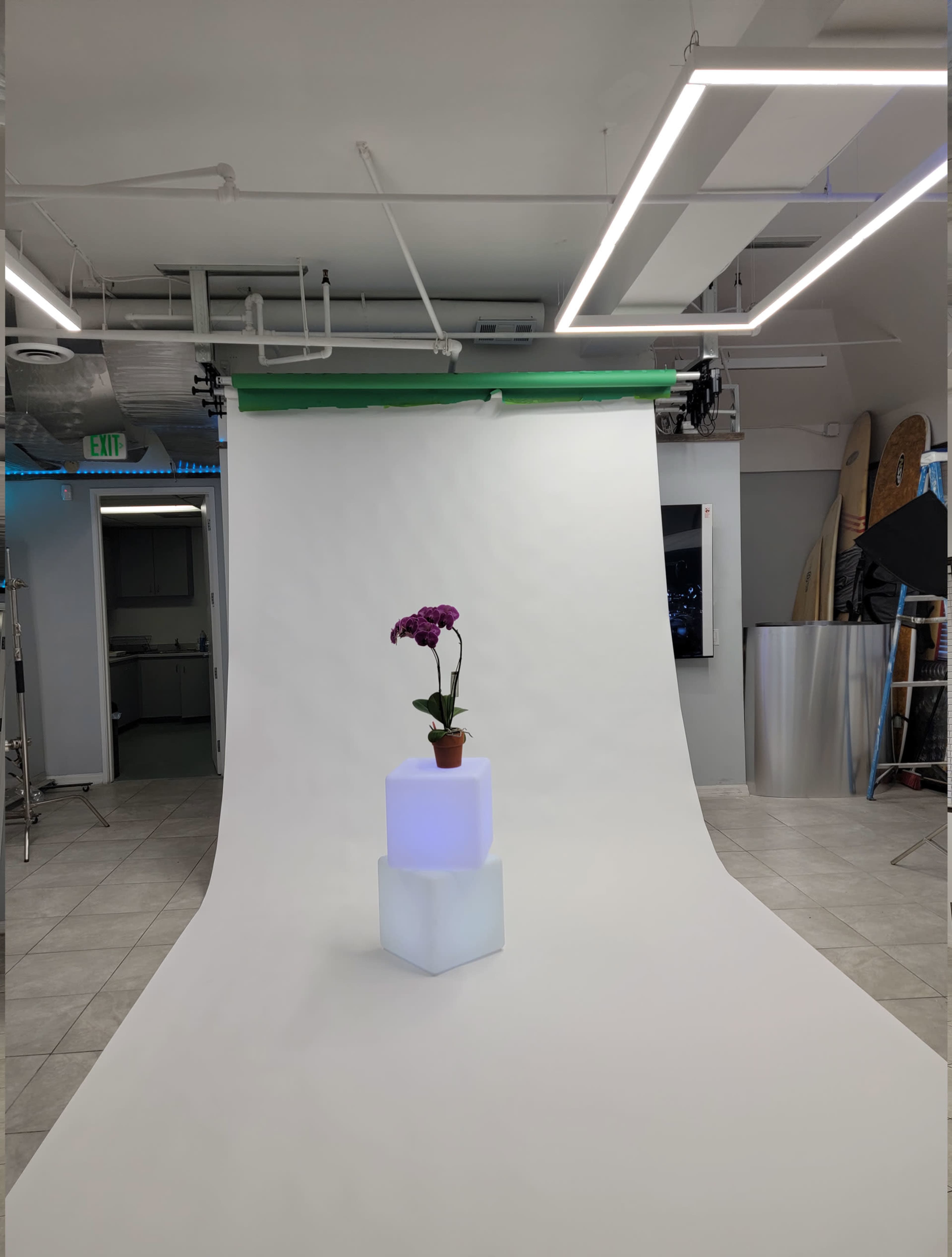 A potted orchid is placed on two glowing cubes against a backdrop of a smooth, white photography studio with green and white backdrops.
