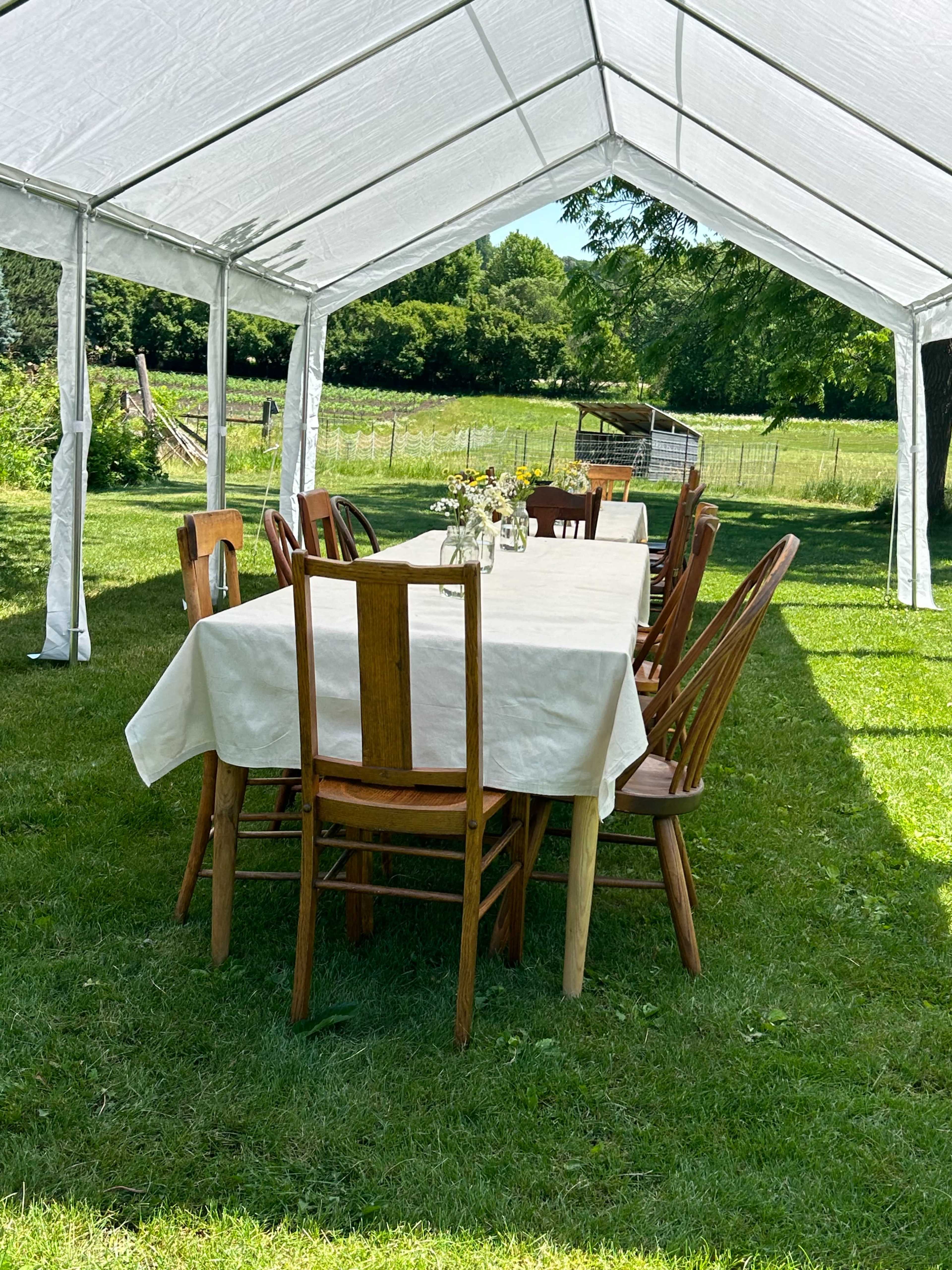 A long table is set under a white tent on a grassy area, surrounded by chairs and greenery.