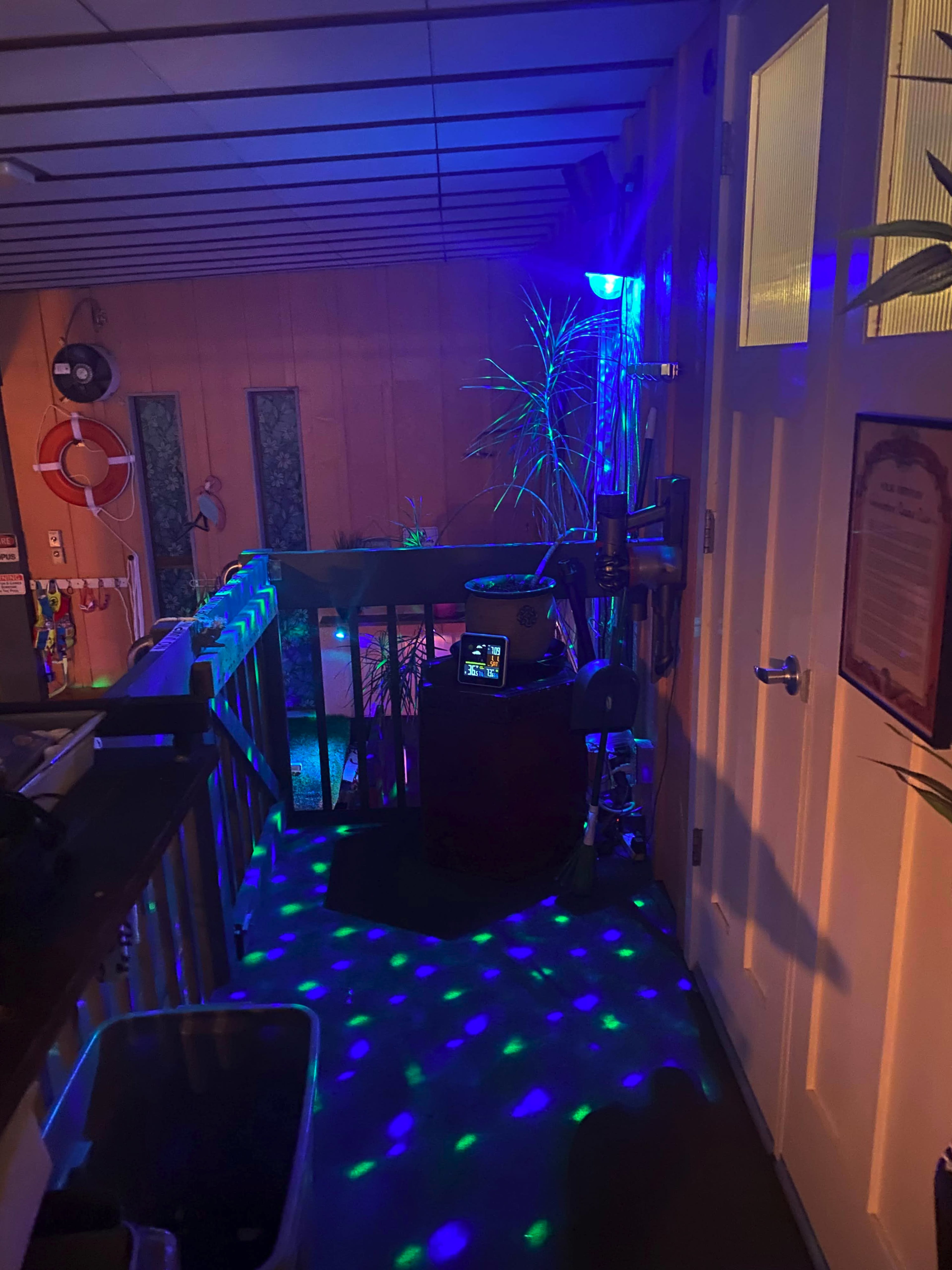 A deck area features colorful lighting and plants, leading to a door.