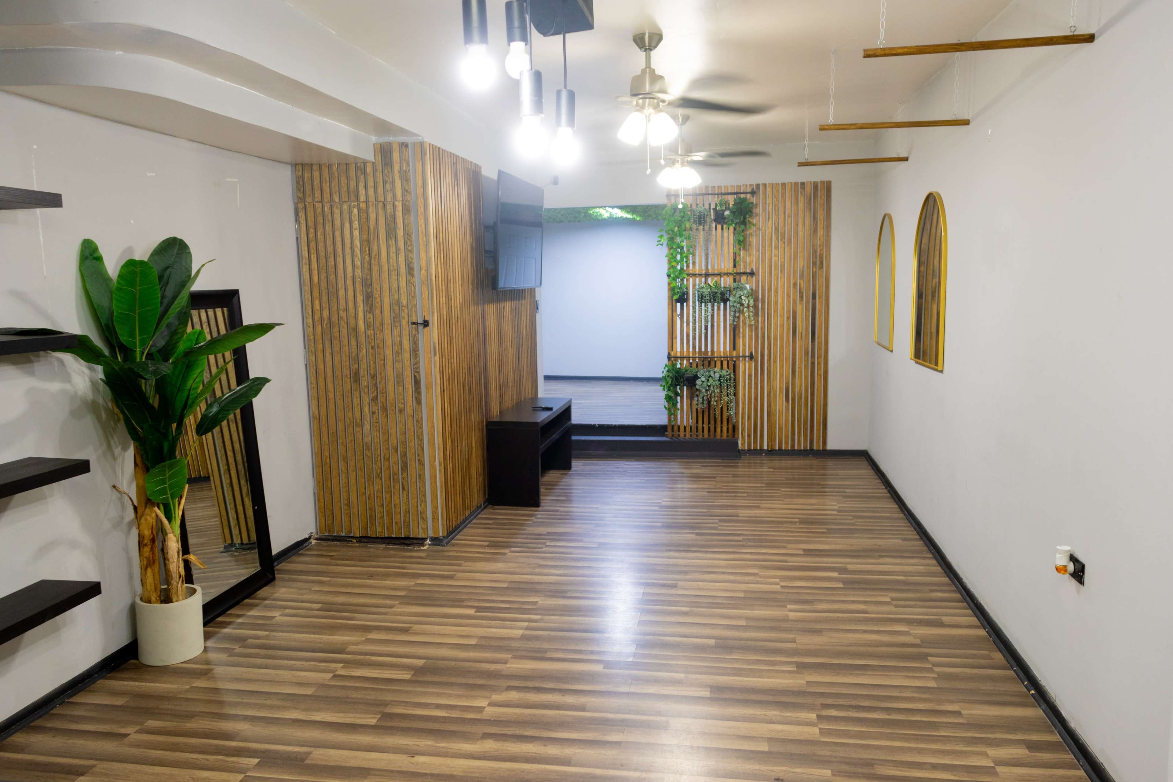 The image shows a modern interior space featuring wooden accents, a potted plant, shelves, a mirror, and a view of a green area through an archway.