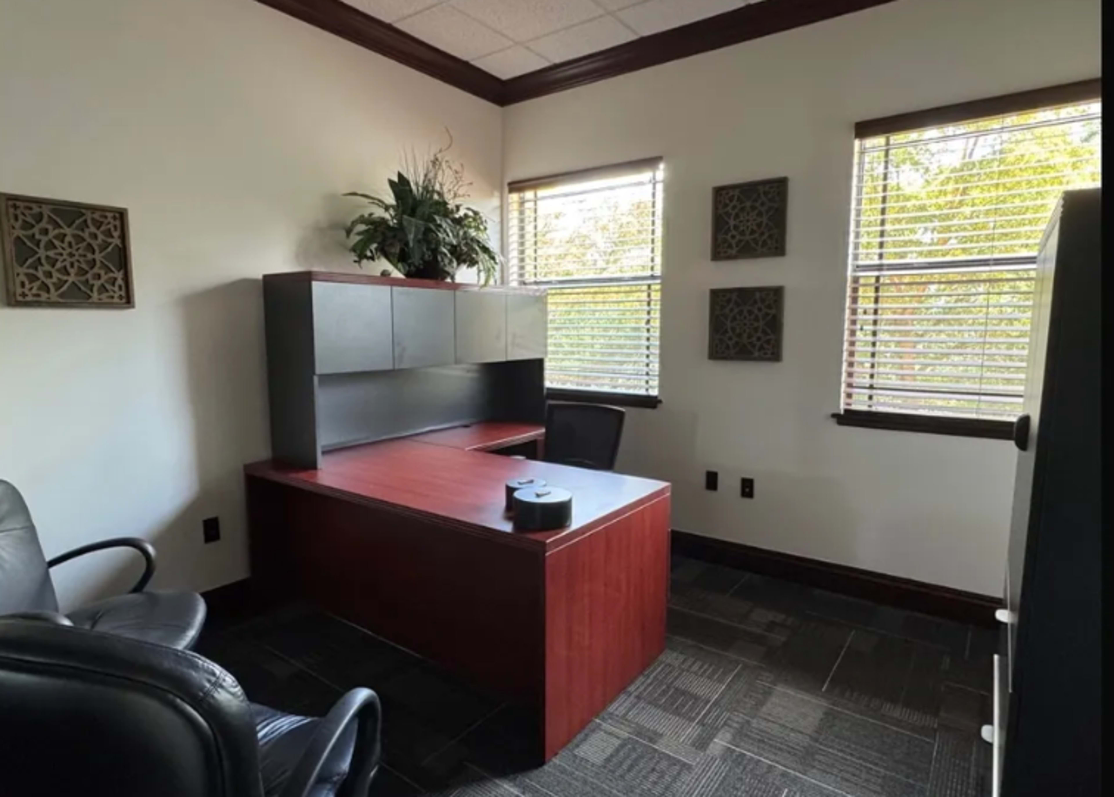 The image shows a minimally furnished office with a desk, two chairs, and windows displaying exterior greenery.