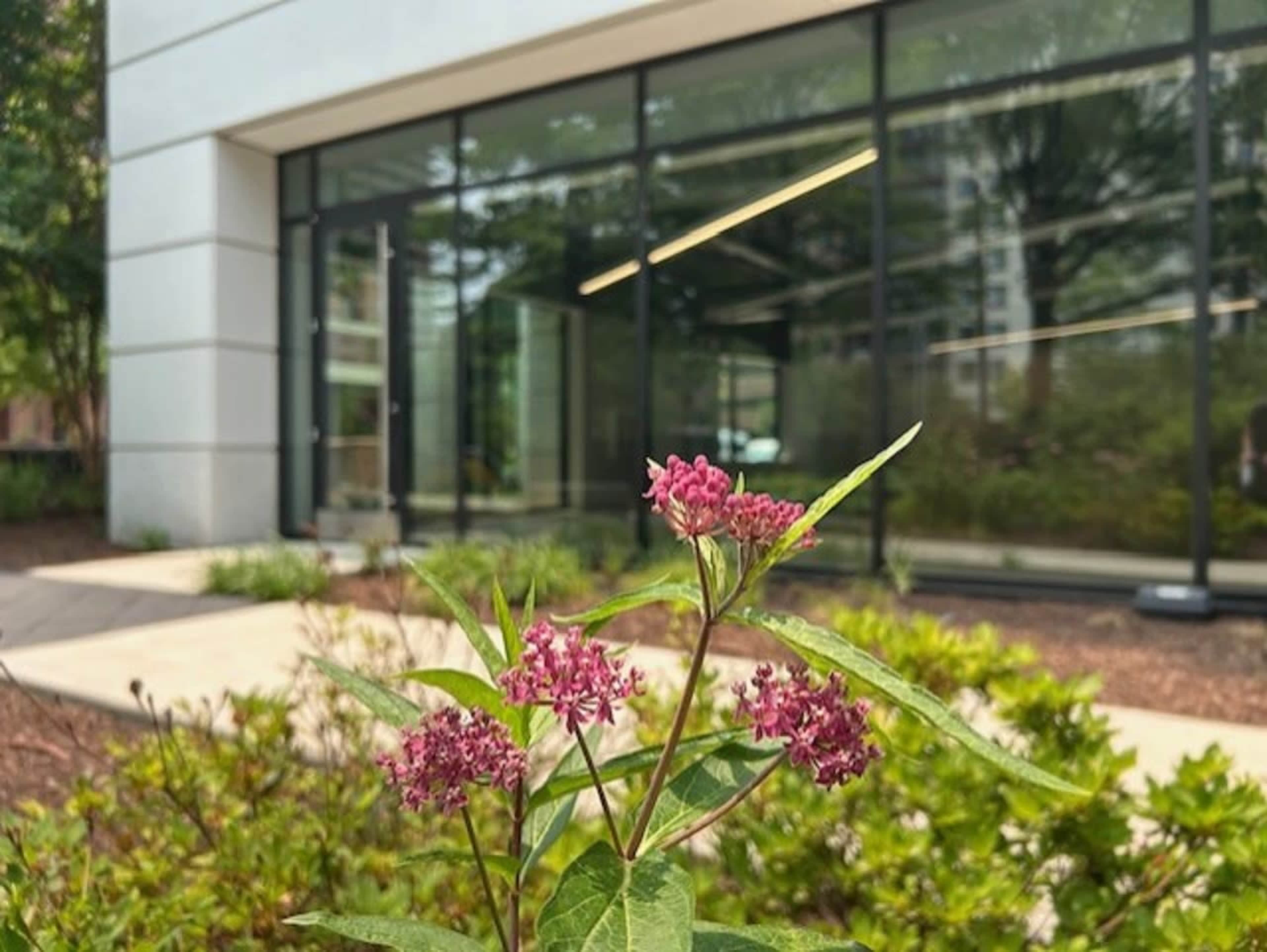 Light-Filled, Zen Studio & Lounge Image in Old Town North, Alexandria, VA