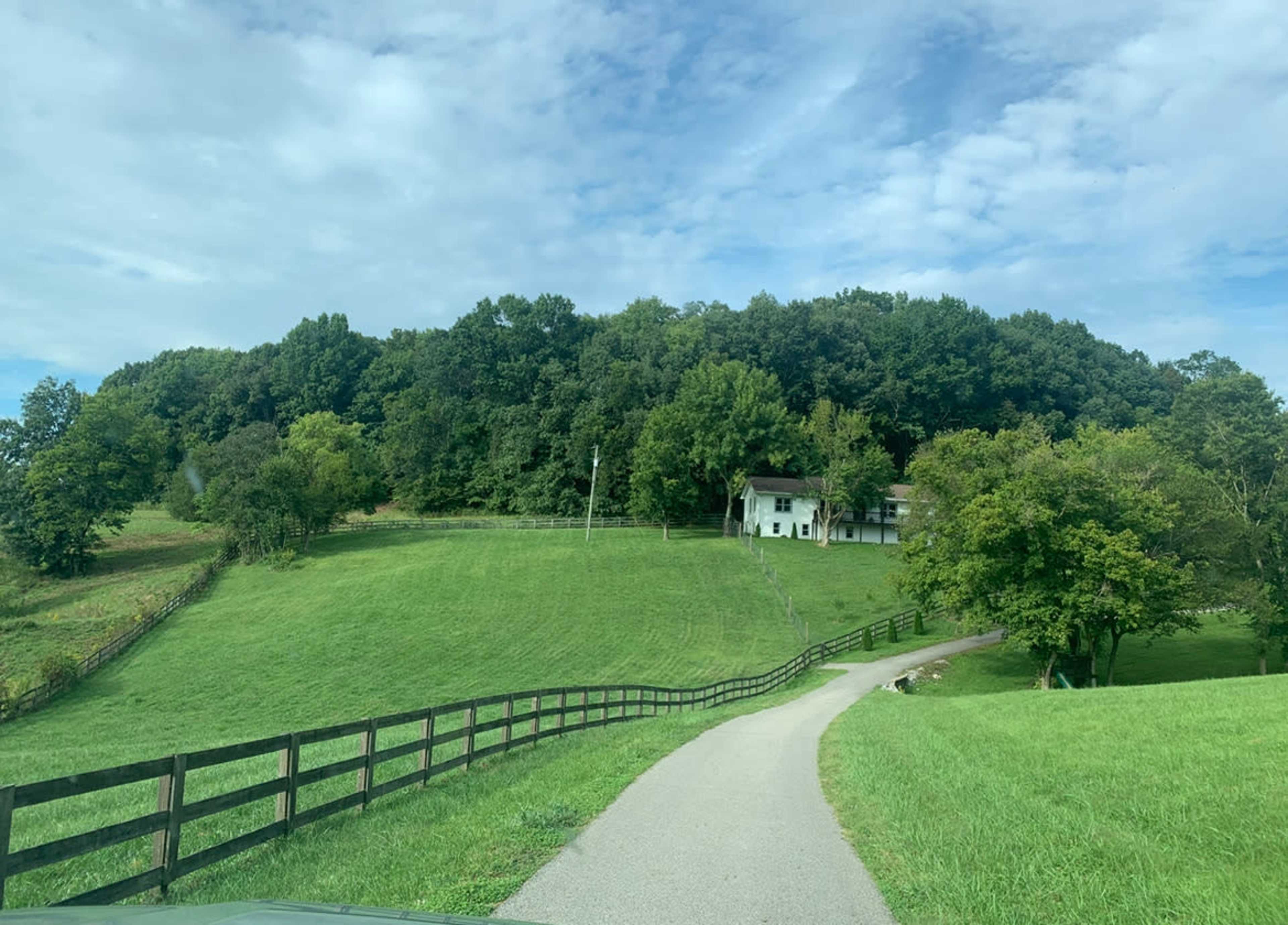 A gravel road leads up to a white house surrounded by green hills and trees.