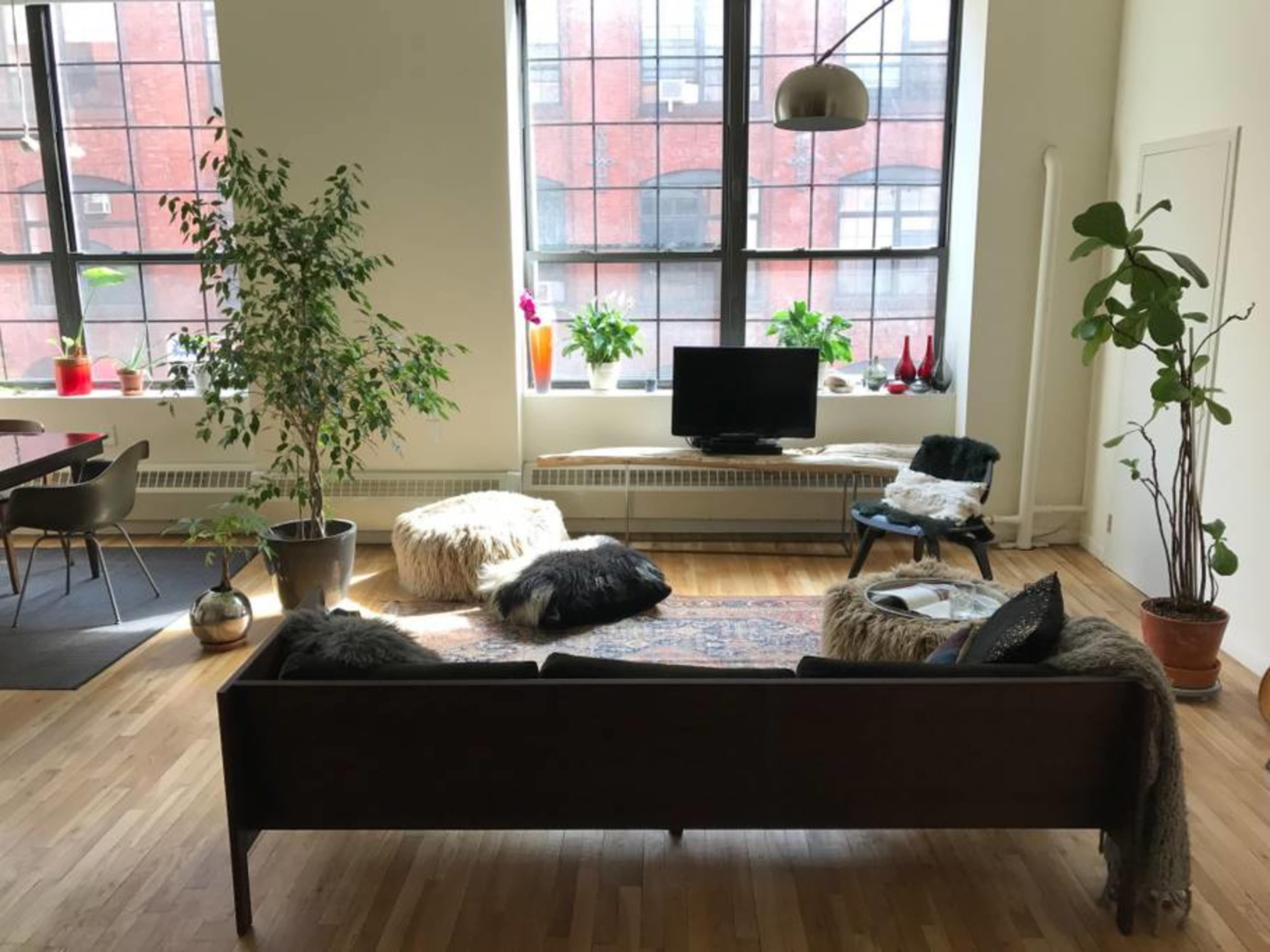 A living room features a sofa facing a television, with large windows letting in natural light and plants arranged around the space.