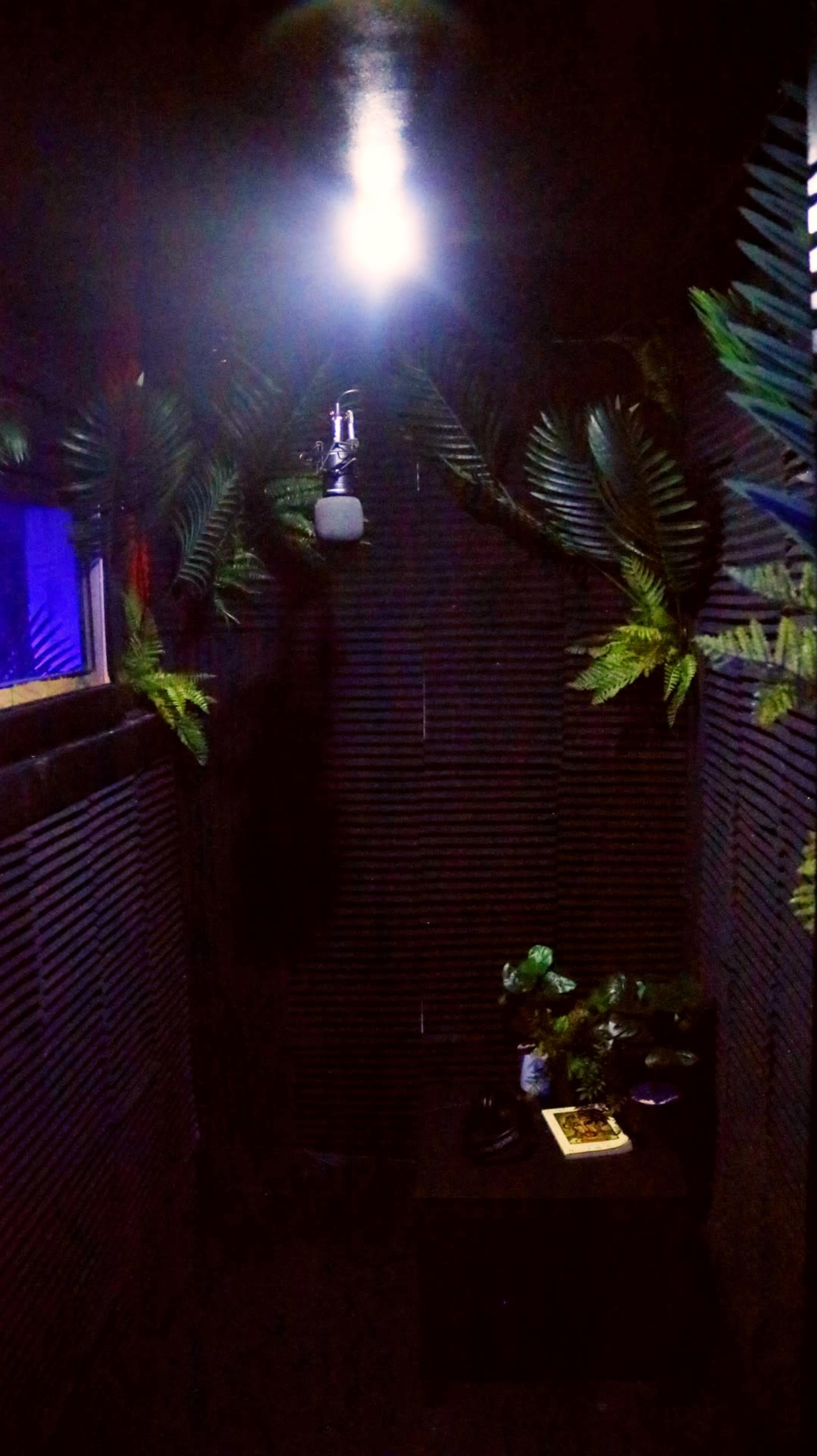 A small, dimly lit room features dark walls and ceiling, adorned with ferns, a microphone hanging from above, and a table with plants and a book.