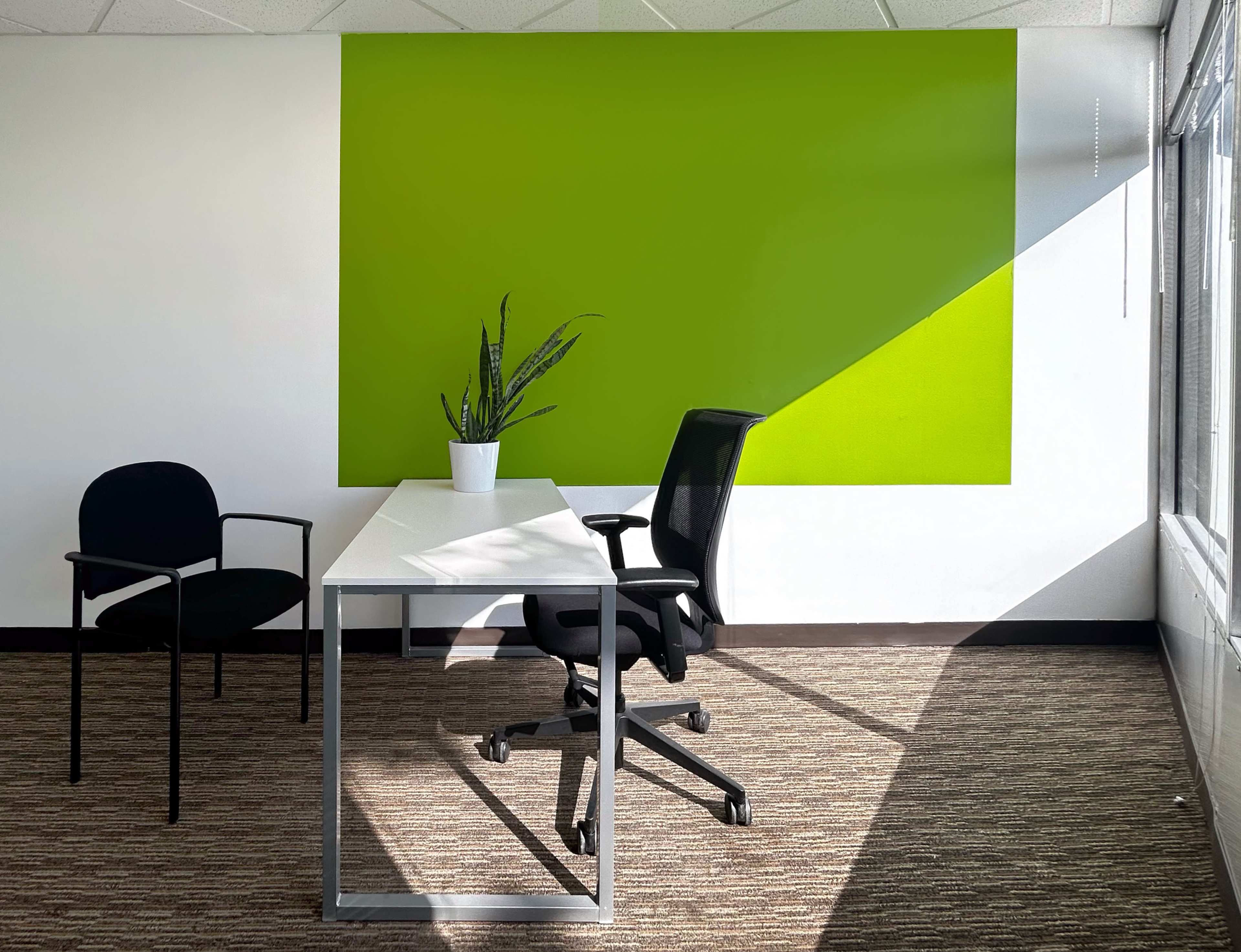 A modern office space features a white desk and chair, with a black chair nearby and a vibrant green wall casting a shadow, illuminated by natural light.