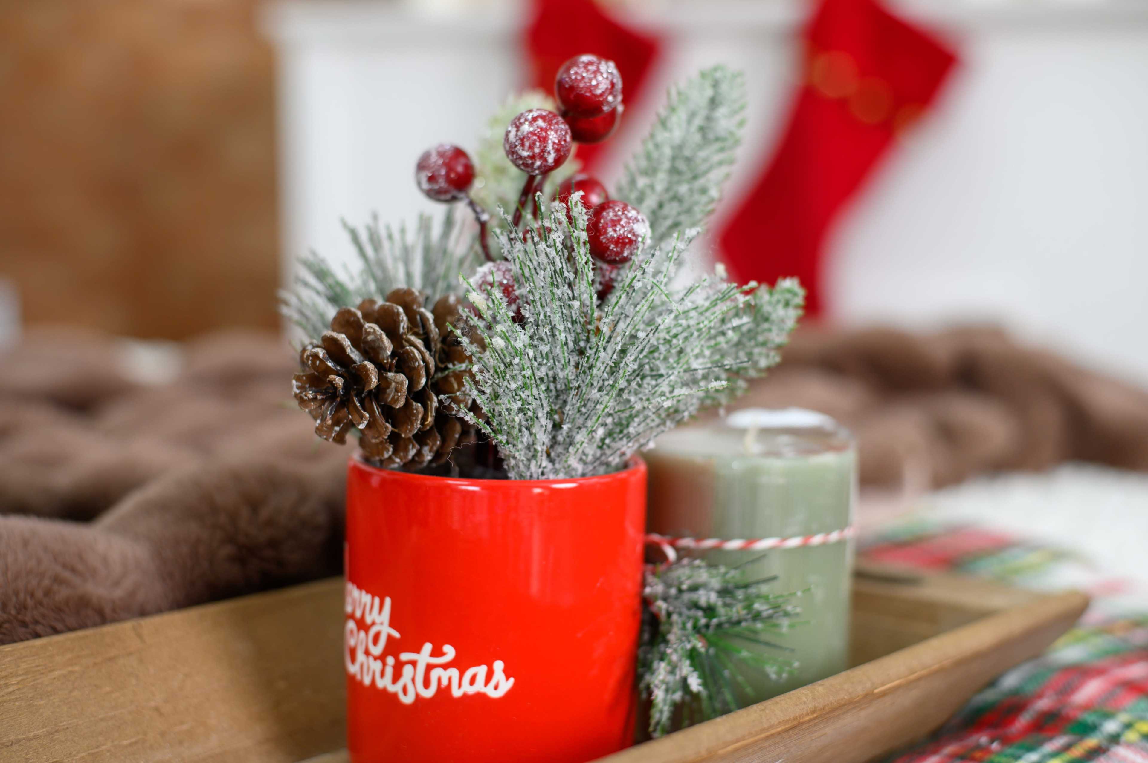 Versatile and Inspiring Photography Studio Image in Greensboro, Greensboro, NC