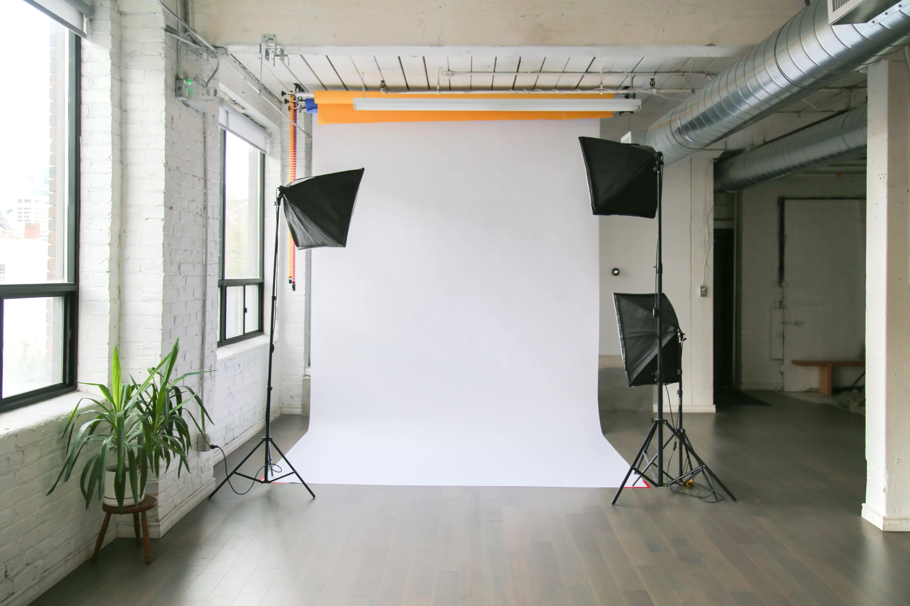A photography studio features a white backdrop with two softbox lights on either side, and a large plant in the corner.