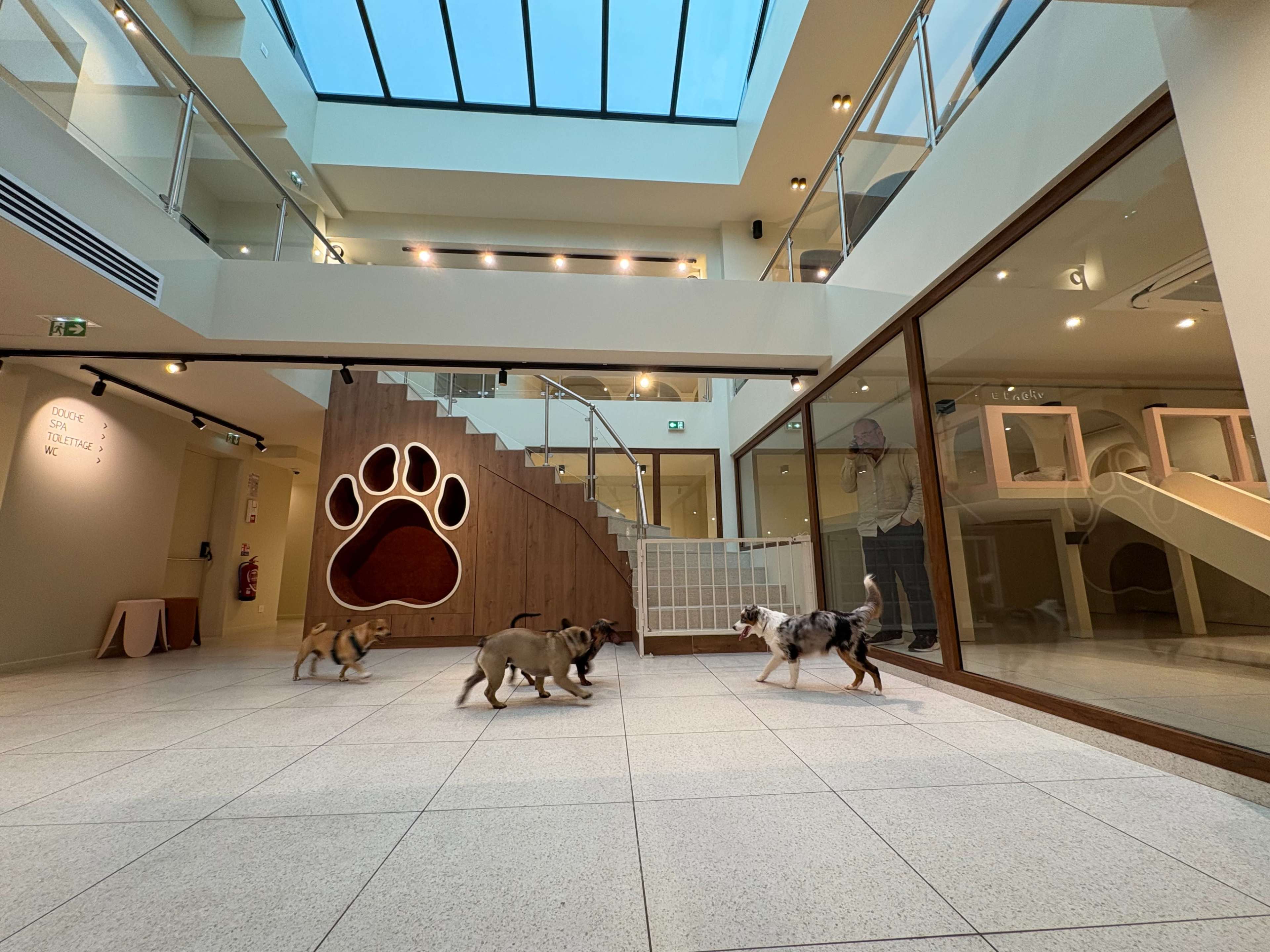 A spacious indoor dog play area features several dogs walking on a tile floor beneath a skylight and near a wooden staircase.